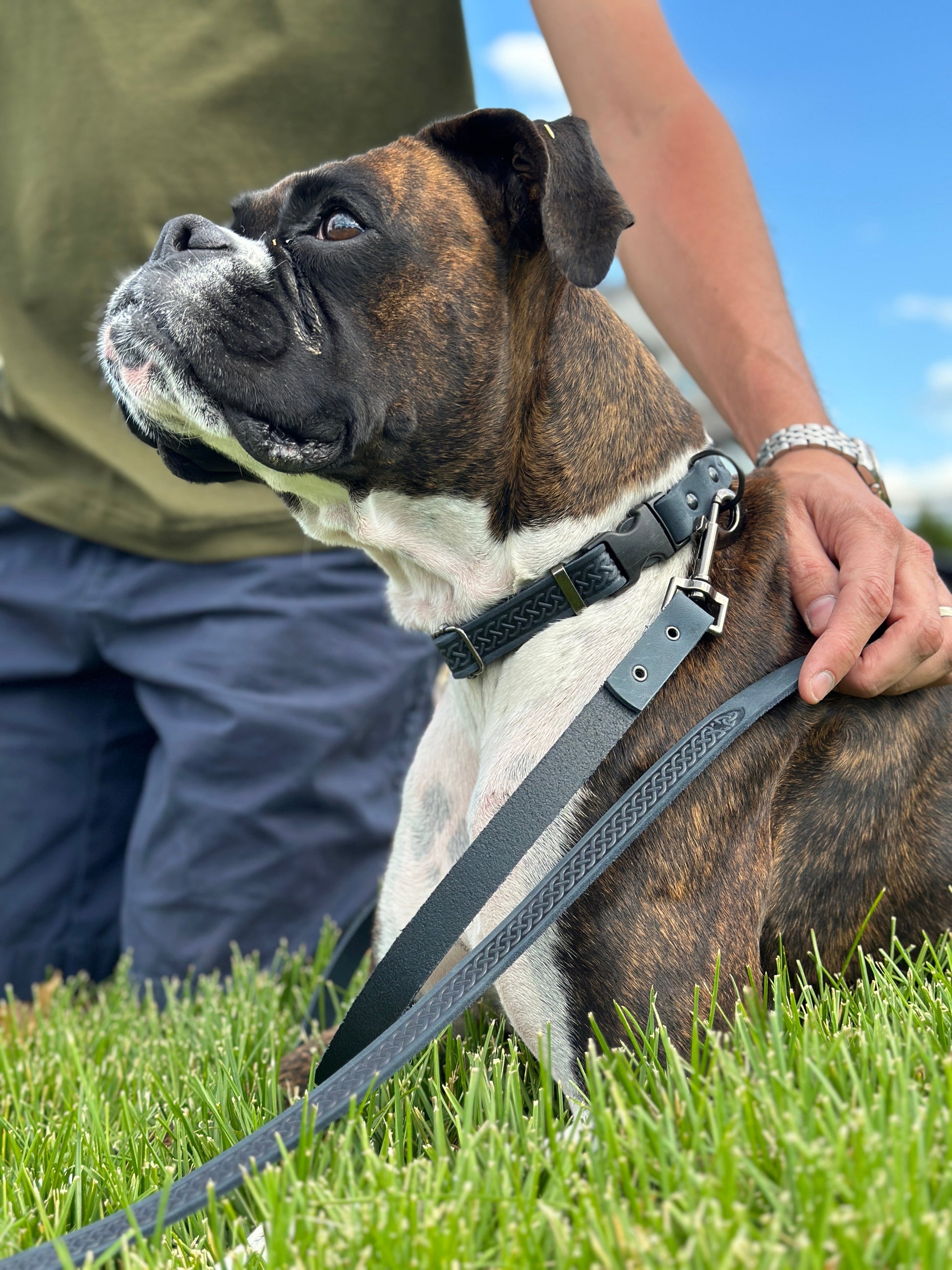 Celtic Sport Blue Jeans Leather Dog Leash - Boske.store