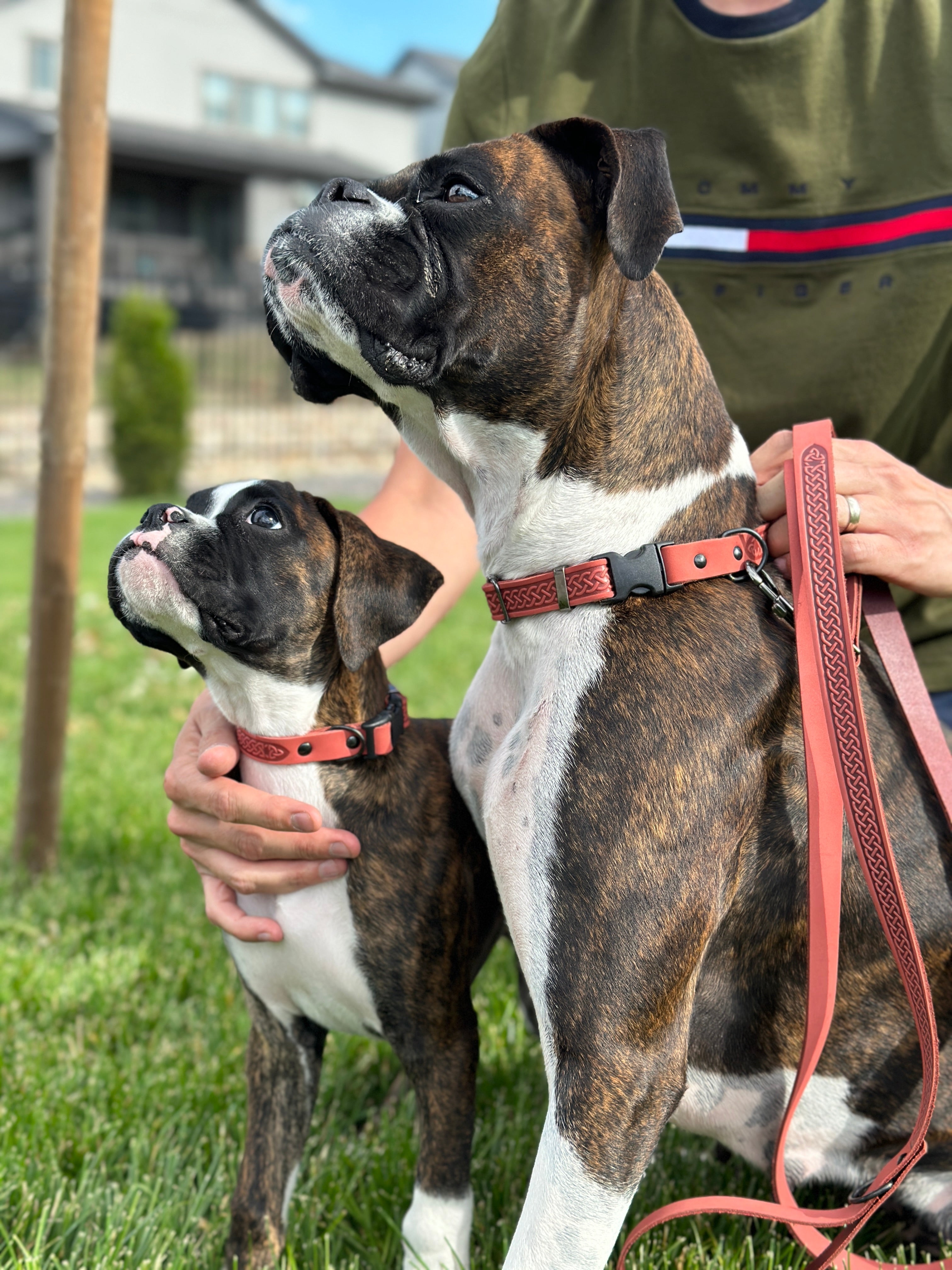 Celtic Sport Leather Collar and Leash Set - Boske.store