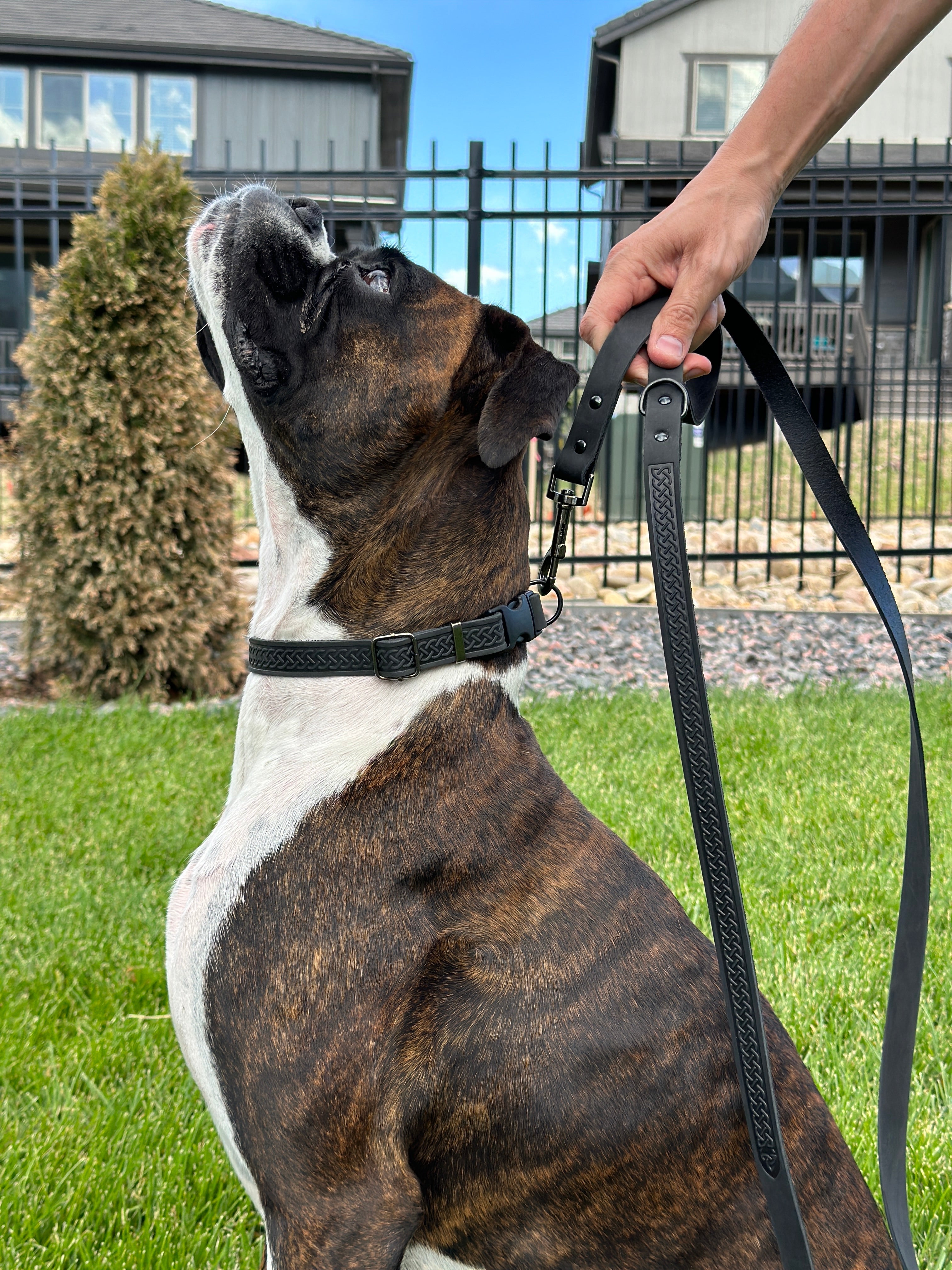 Celtic Sport Midnight Black Leather Dog Leash - Boske.store