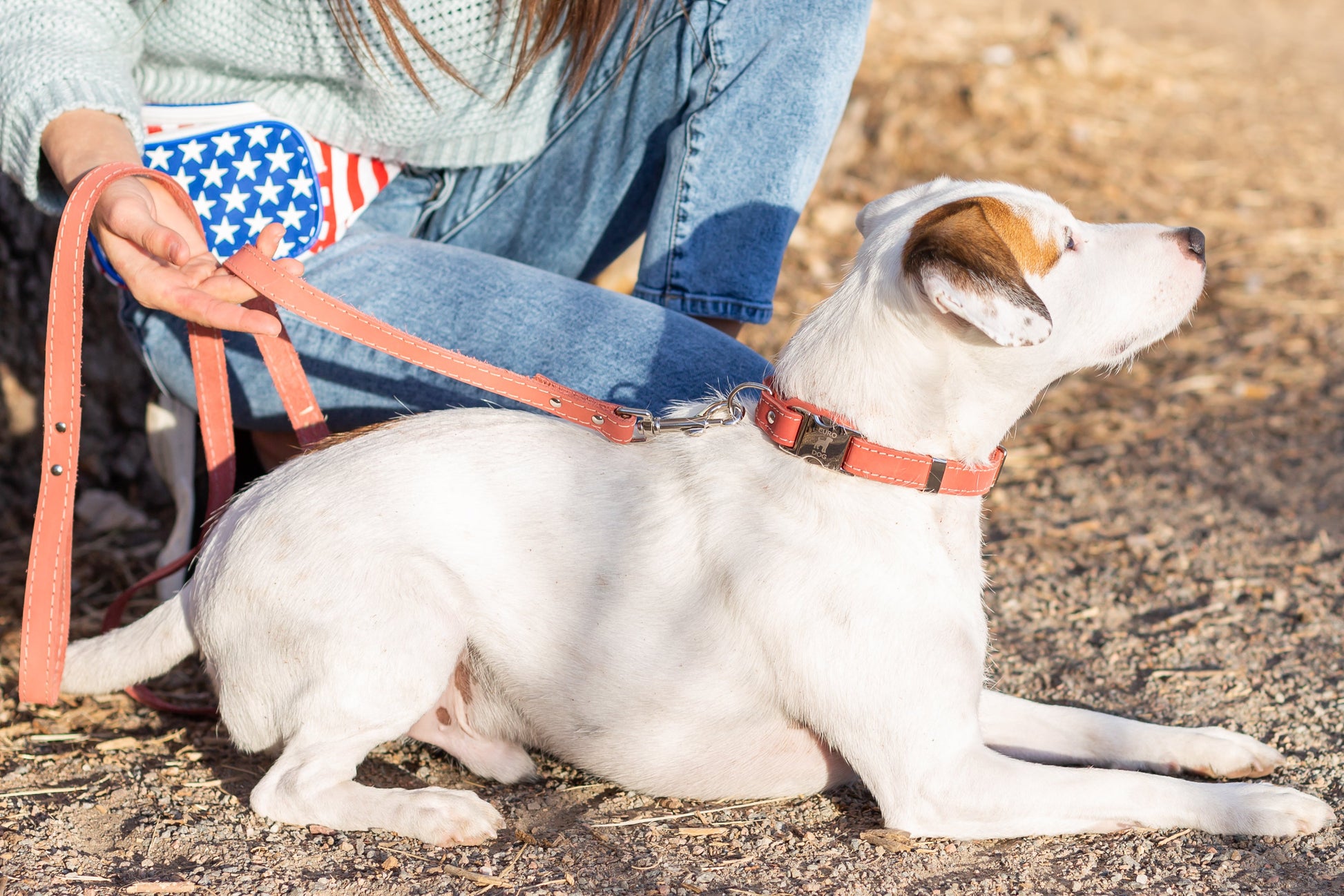 Quick - Release Style Leather Collar and Leash Set - Boske.store