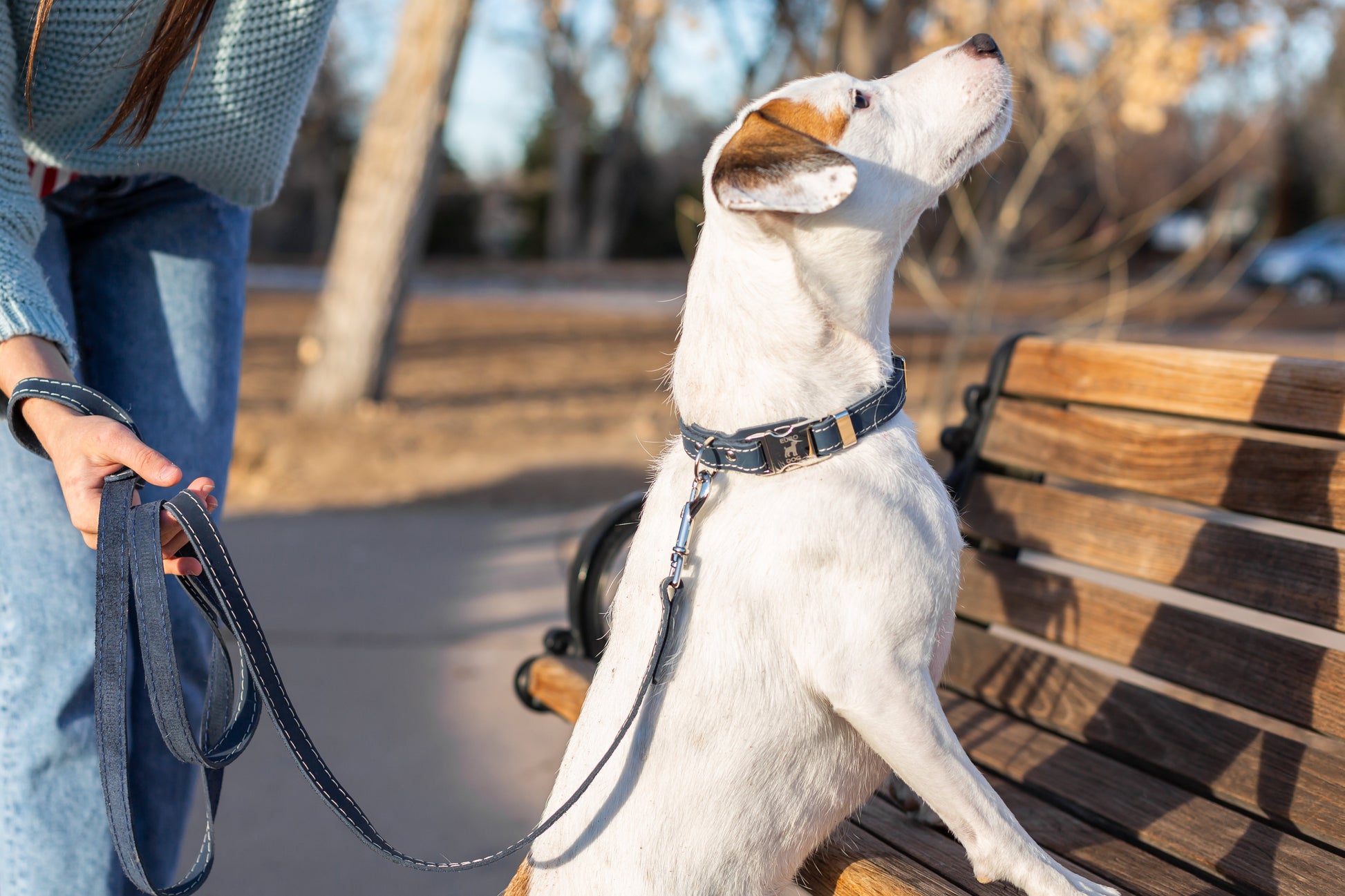 Pro Line Hunting Blue Jeans Leather Leash - Boske.store
