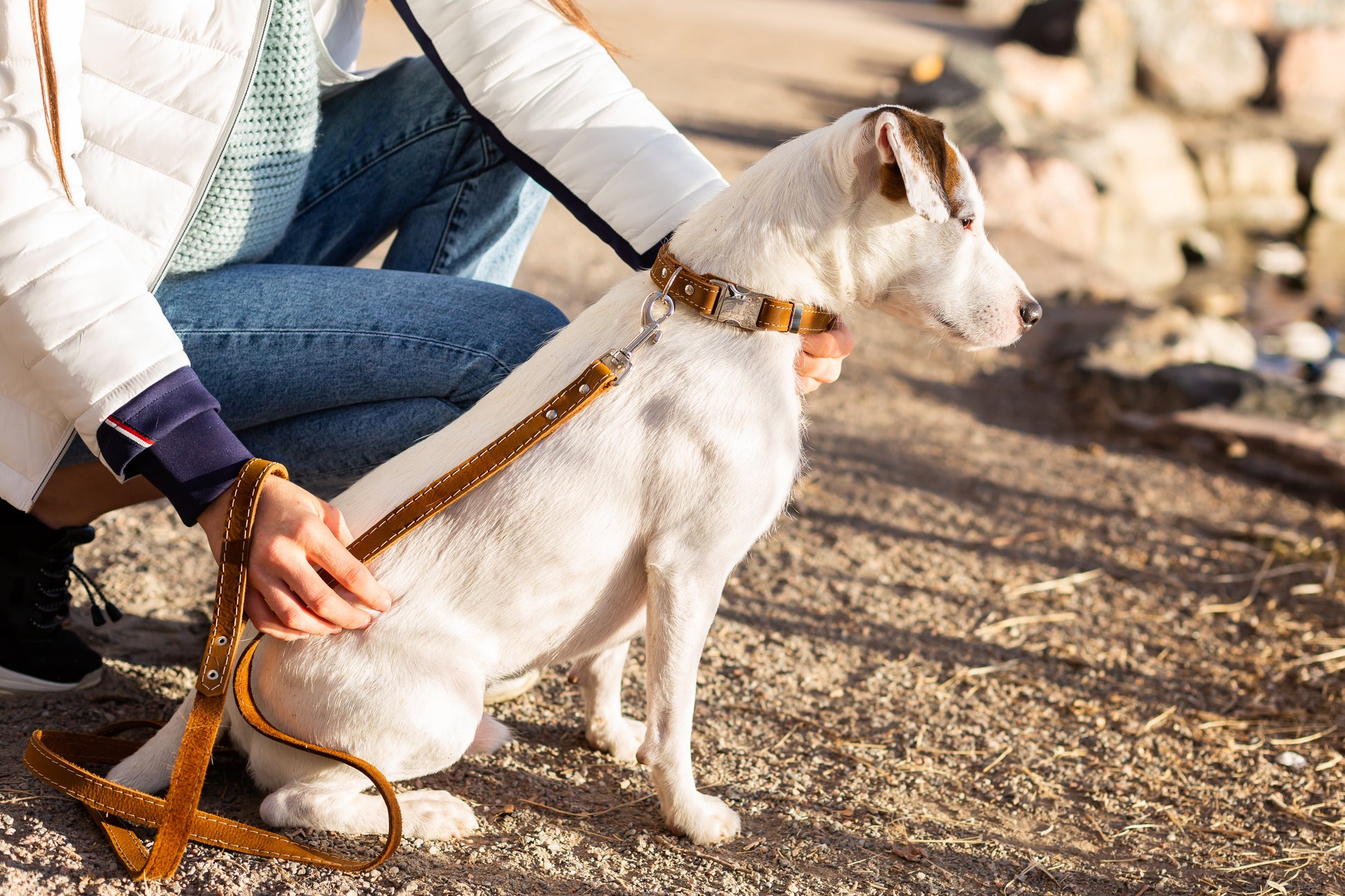 Traditional Earth Brown Leather Dog Leash - Boske.store