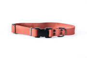 Sport Style Coral Reef Leather Dog Collar - Boske.store