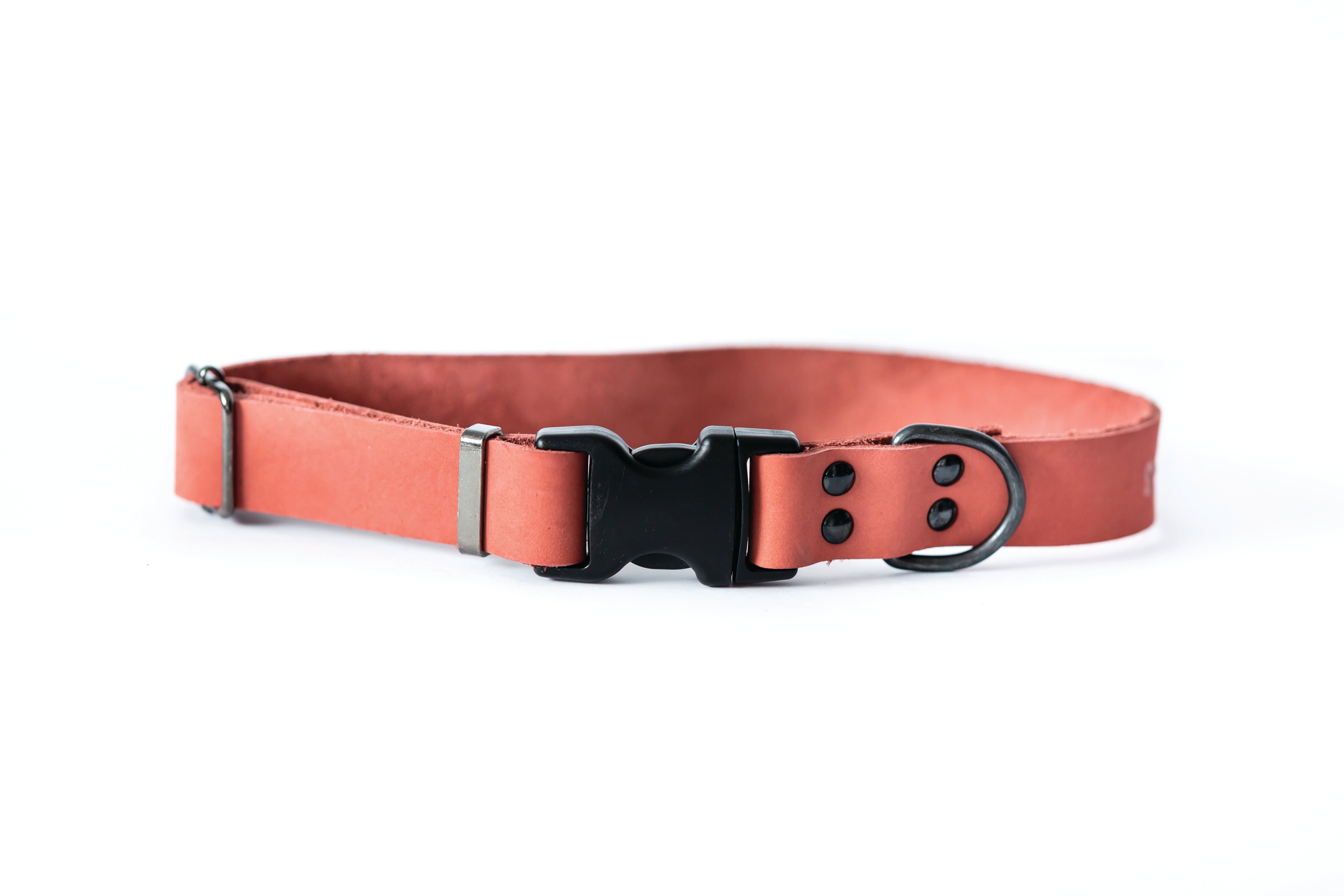 Sport Style Coral Reef Leather Dog Collar - Boske.store