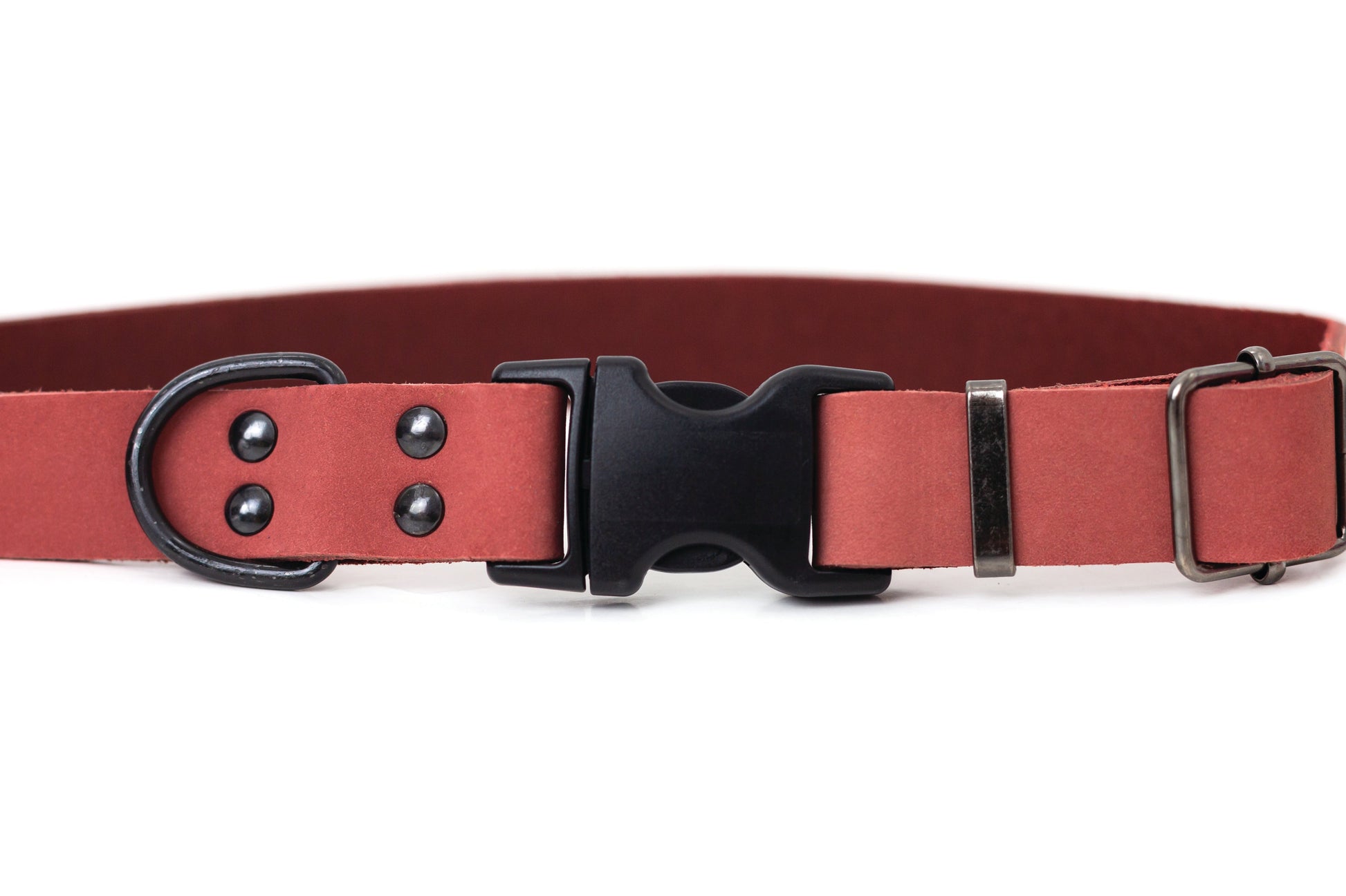 Sport Style Coral Reef Leather Dog Collar - Boske.store