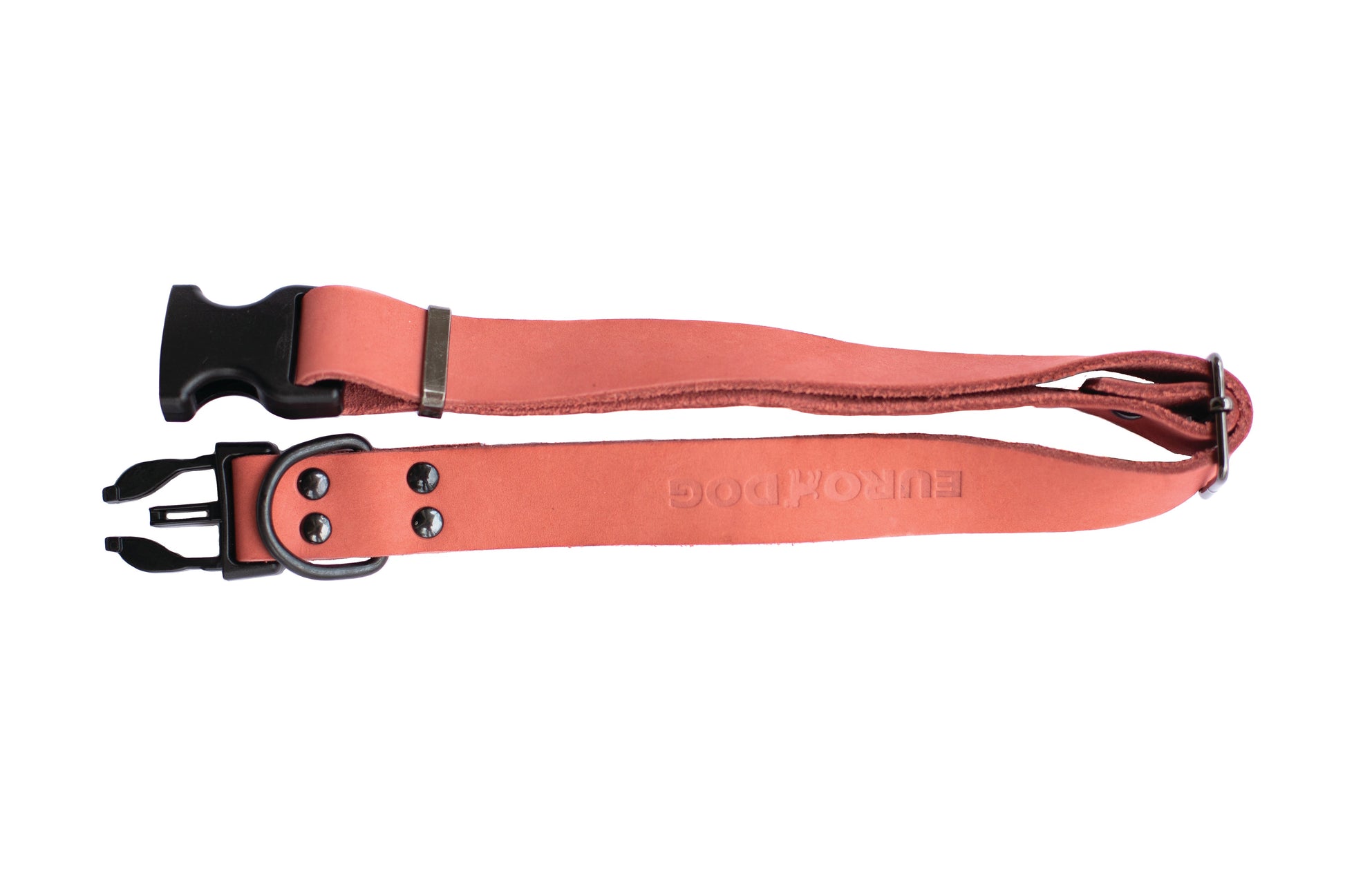 Sport Style Coral Reef Leather Dog Collar - Boske.store