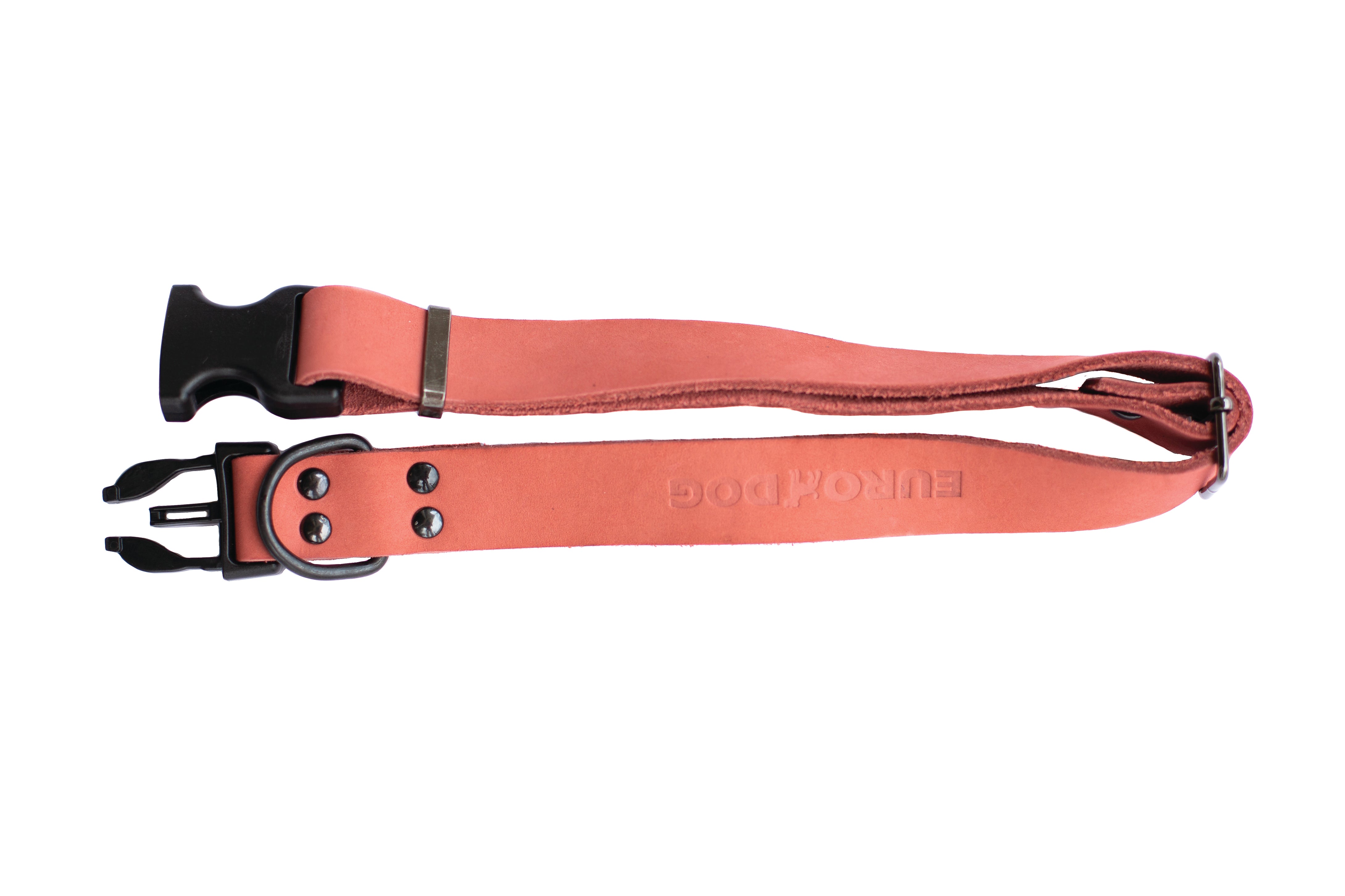 Sport Style Coral Reef Leather Dog Collar - Boske.store
