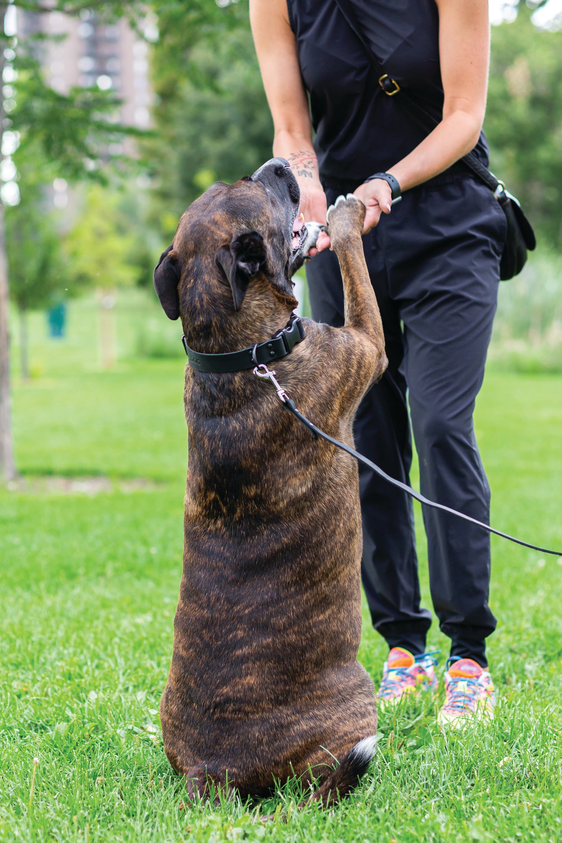 Sport Style Midnight Black Leather Leash - Boske.store