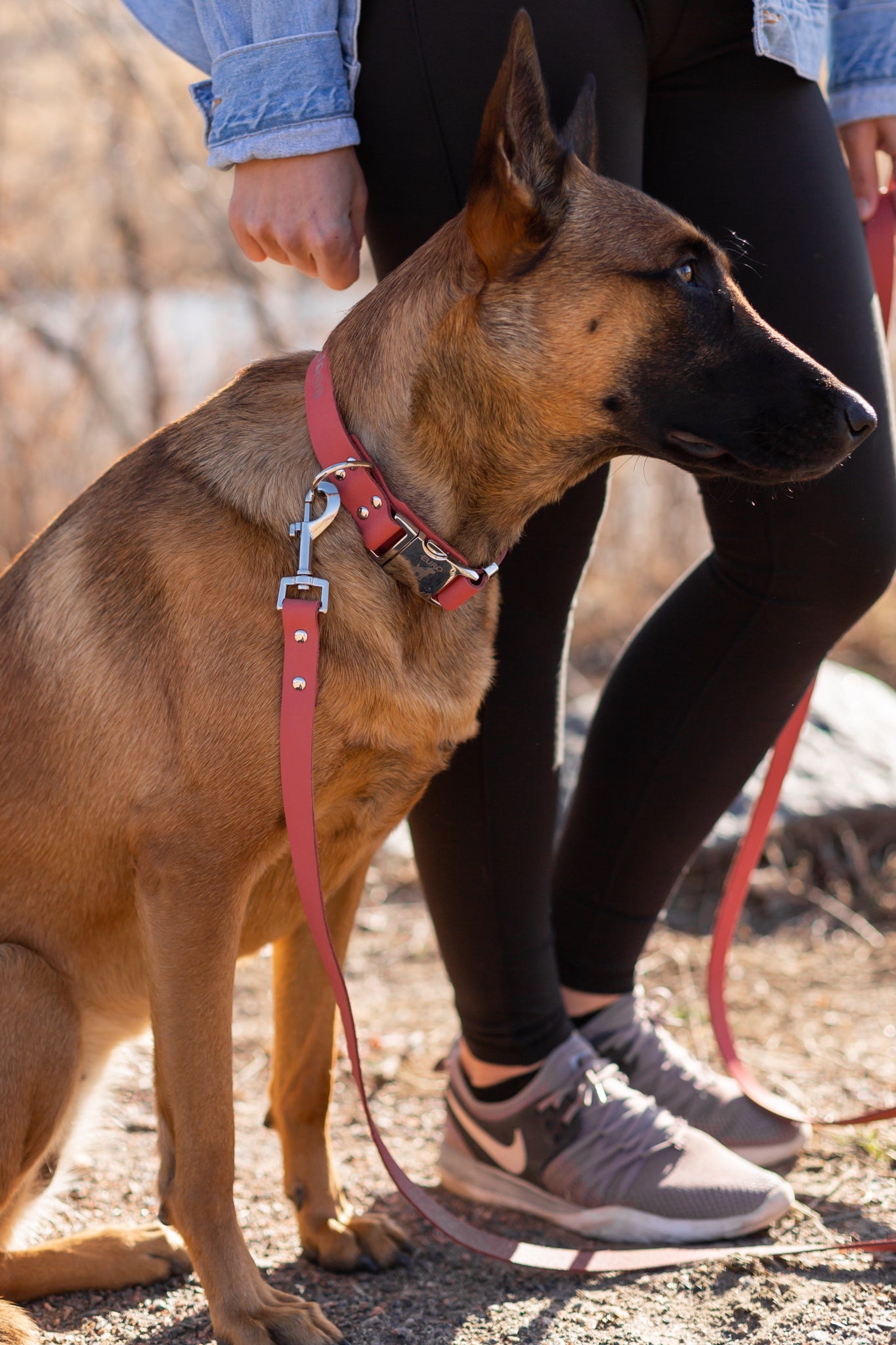 Modern Style Quick - Release Coral Reef Leather Dog Collar - Boske.store