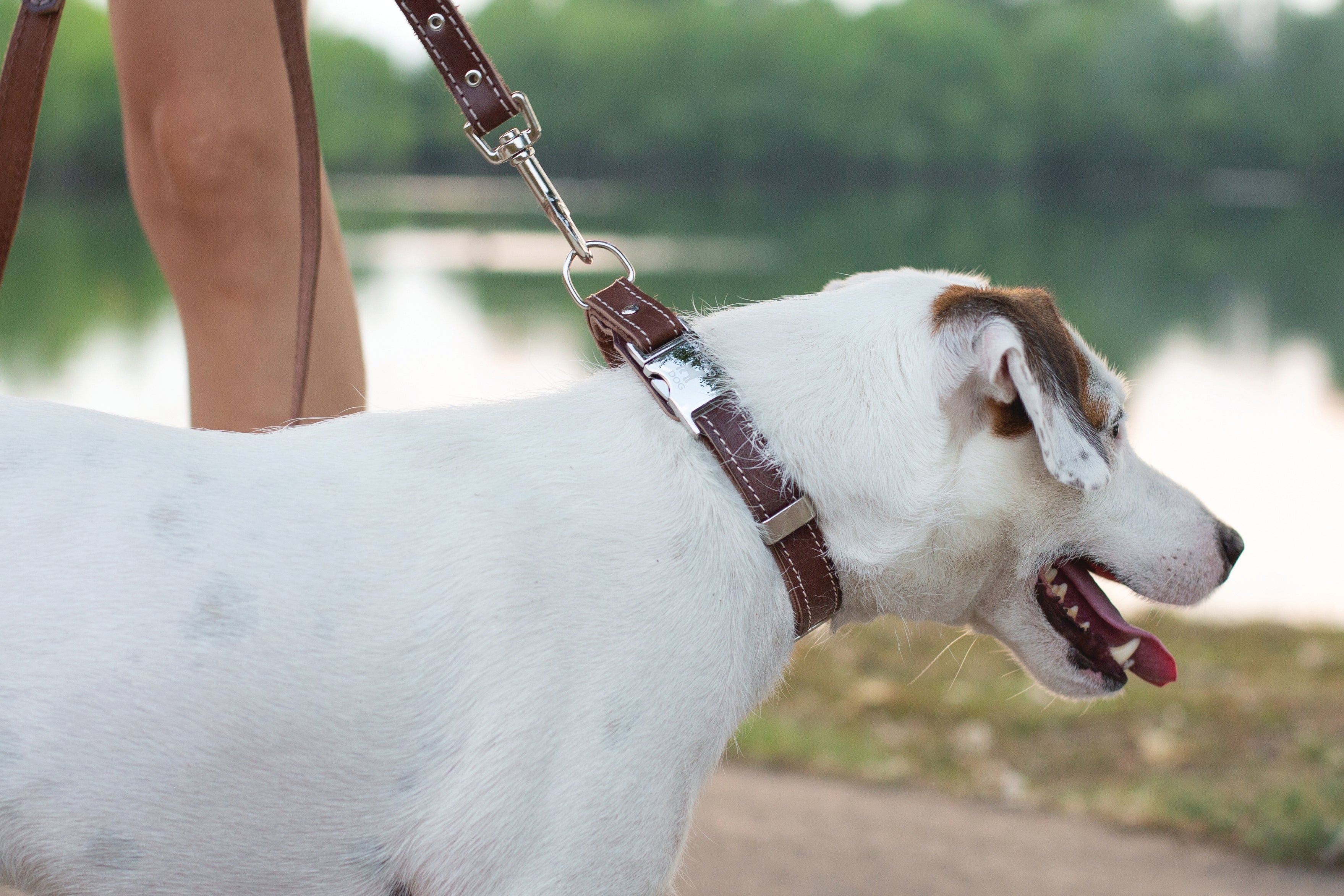 Pro Line Hunting Chocolate Leather Leash - Boske.store