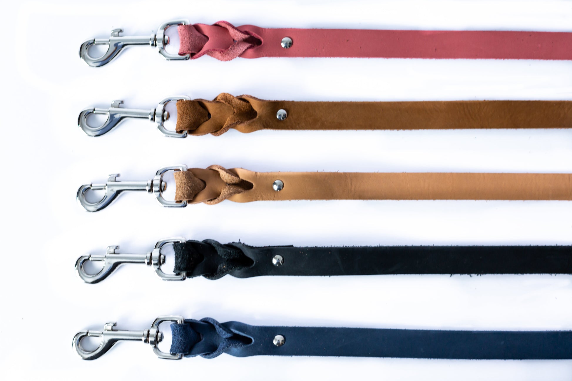 Pro Line Leather Braided Dog Leash - Boske.store