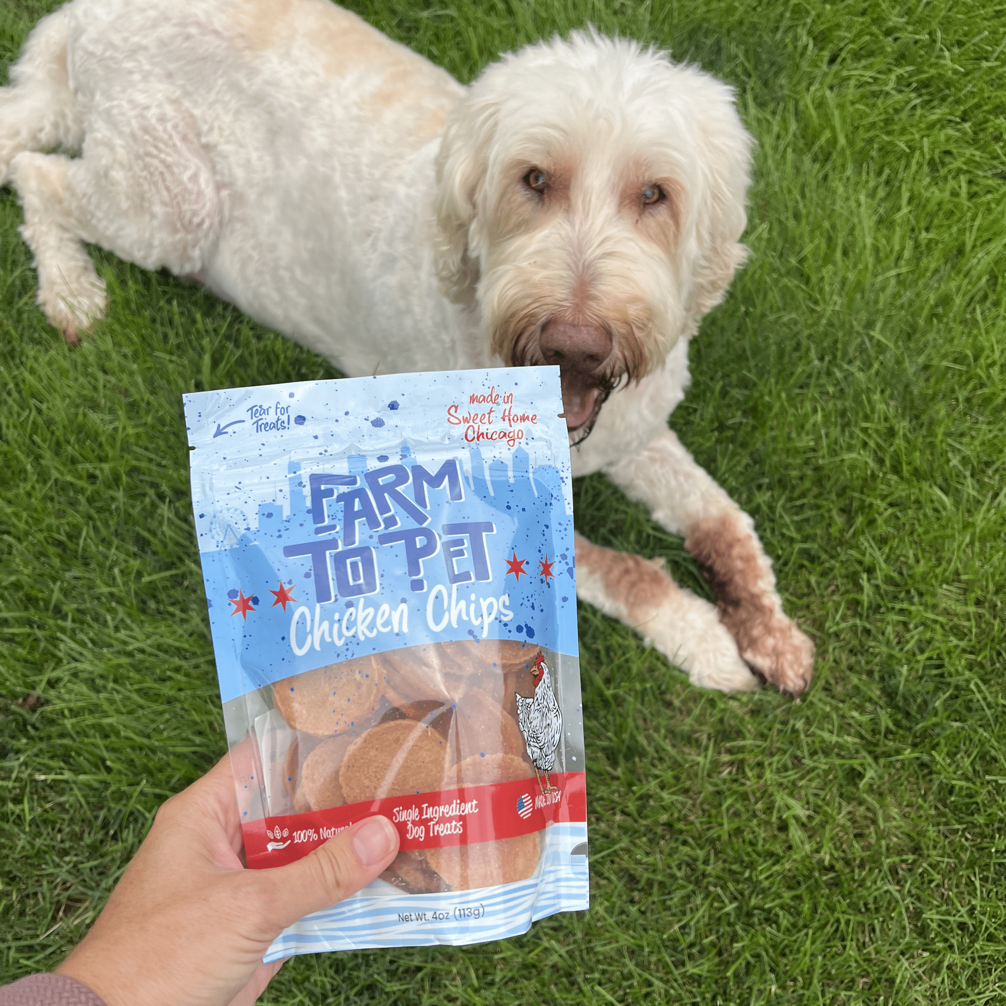 Chicago Chicken Chips for Dogs | Dog Treats To Celebrate Our Hometown - Boske.store