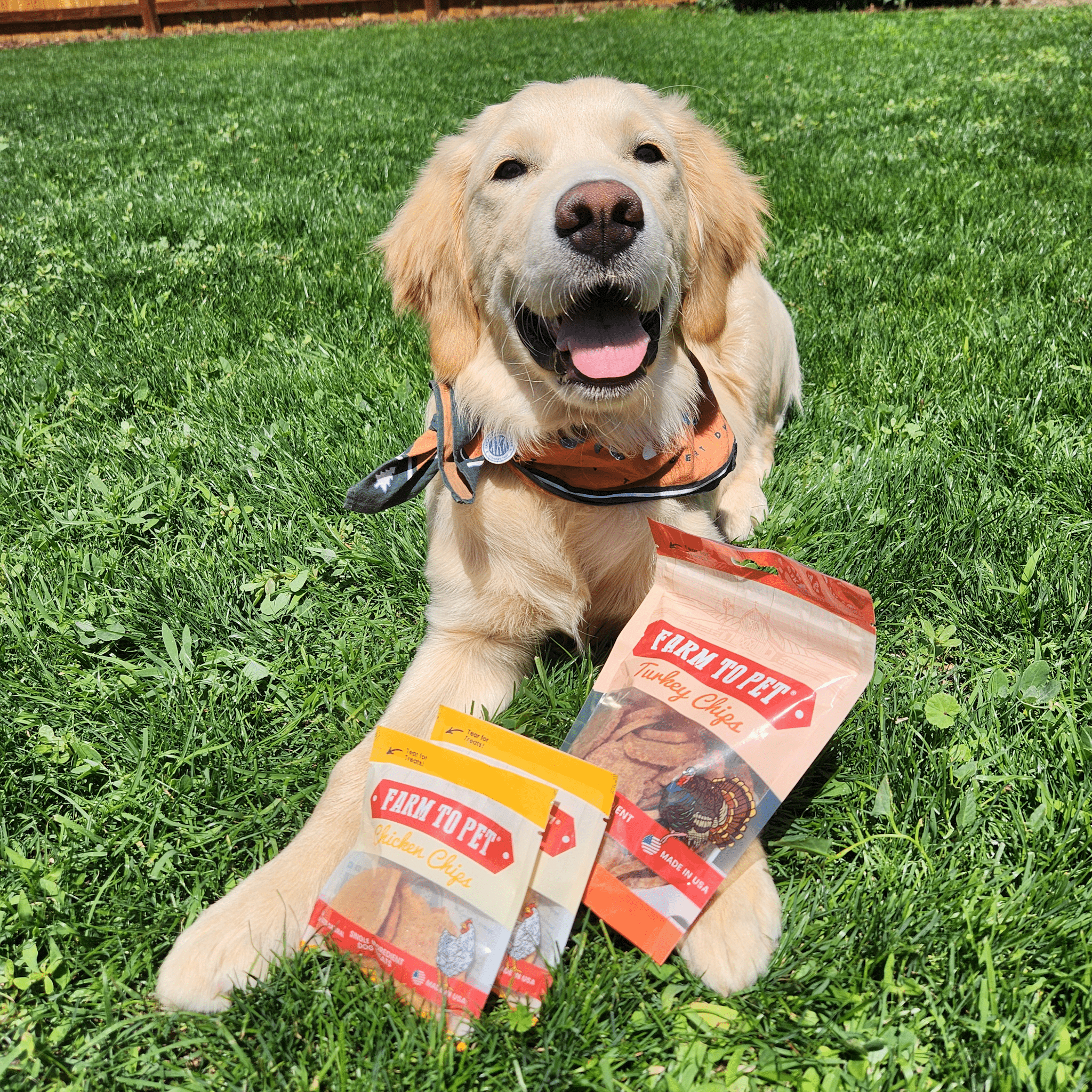 Puppy Packs 'n Snacks Dog Treat Starter Pack | Single - Ingredient Training Treats - Boske.store
