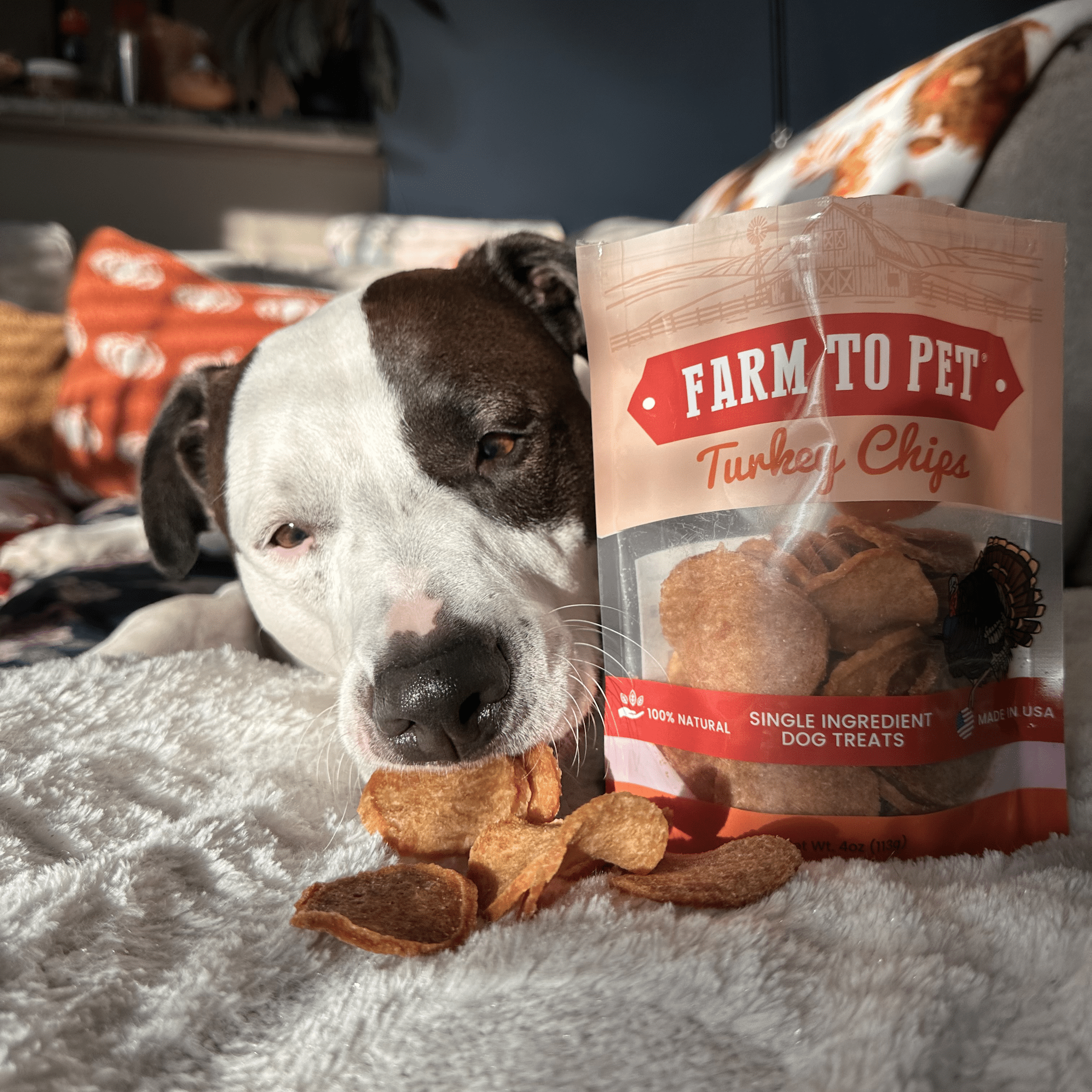 Turkey Chips for Dogs | All - Natural Single - Ingredient Healthy Dog Treats - Boske.store