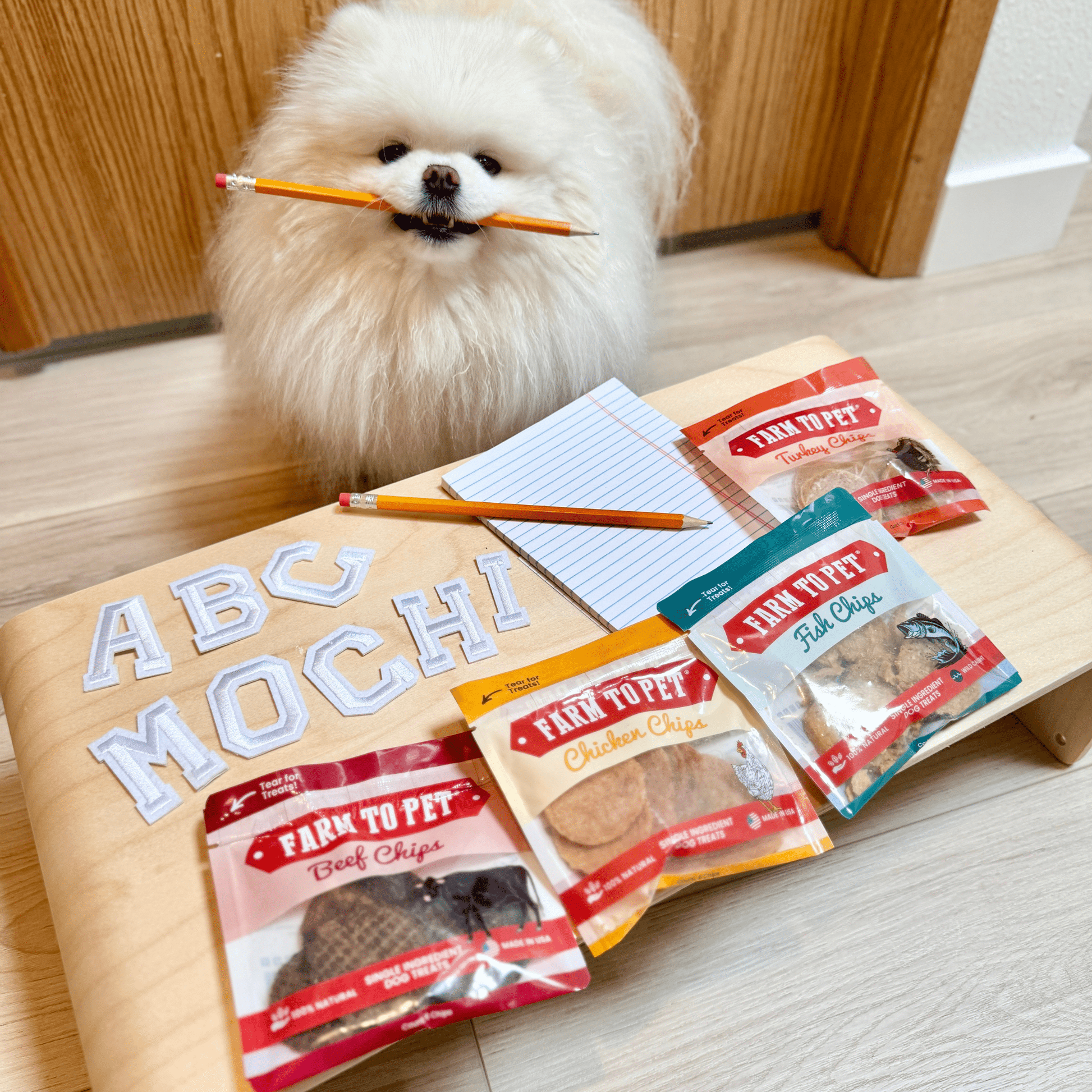 Snack Pack Dog Treat Sampler - Boske.store