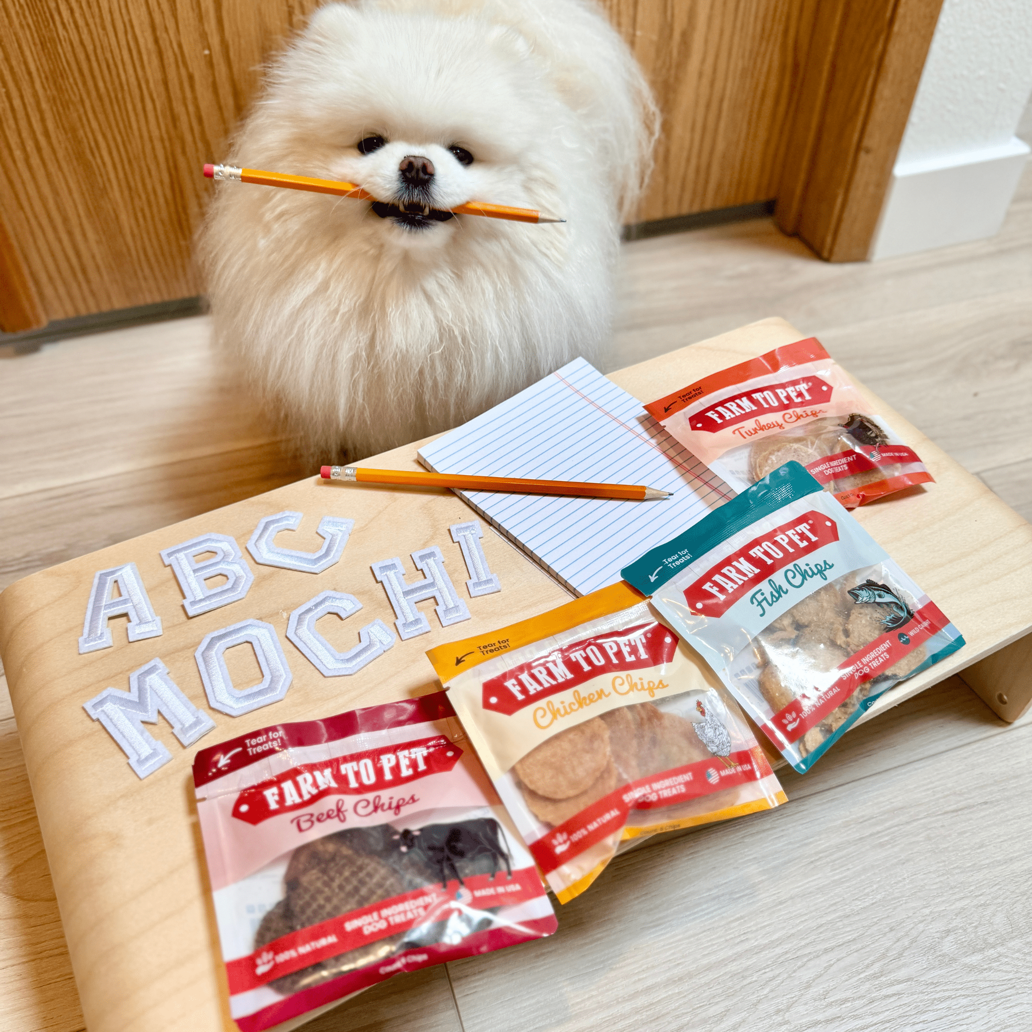 Snack Pack Dog Treat Sampler - Boske.store