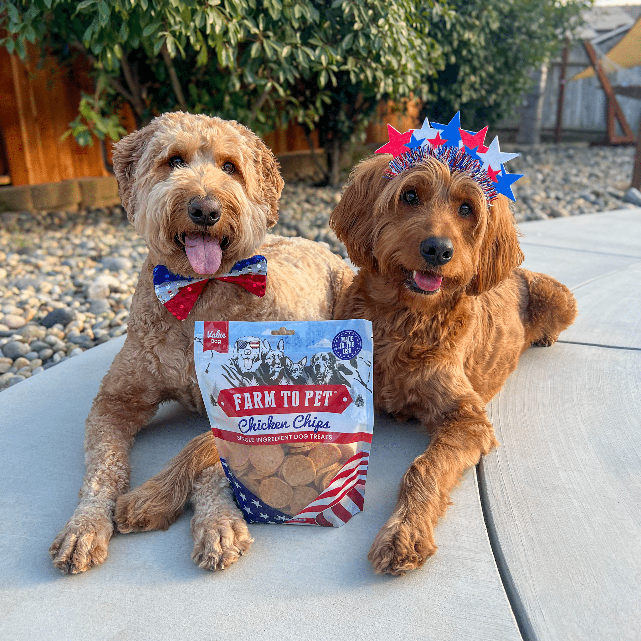 Americana Chicken Chips for Dogs | Celebrate with USA - made Dog Treats - Boske.store