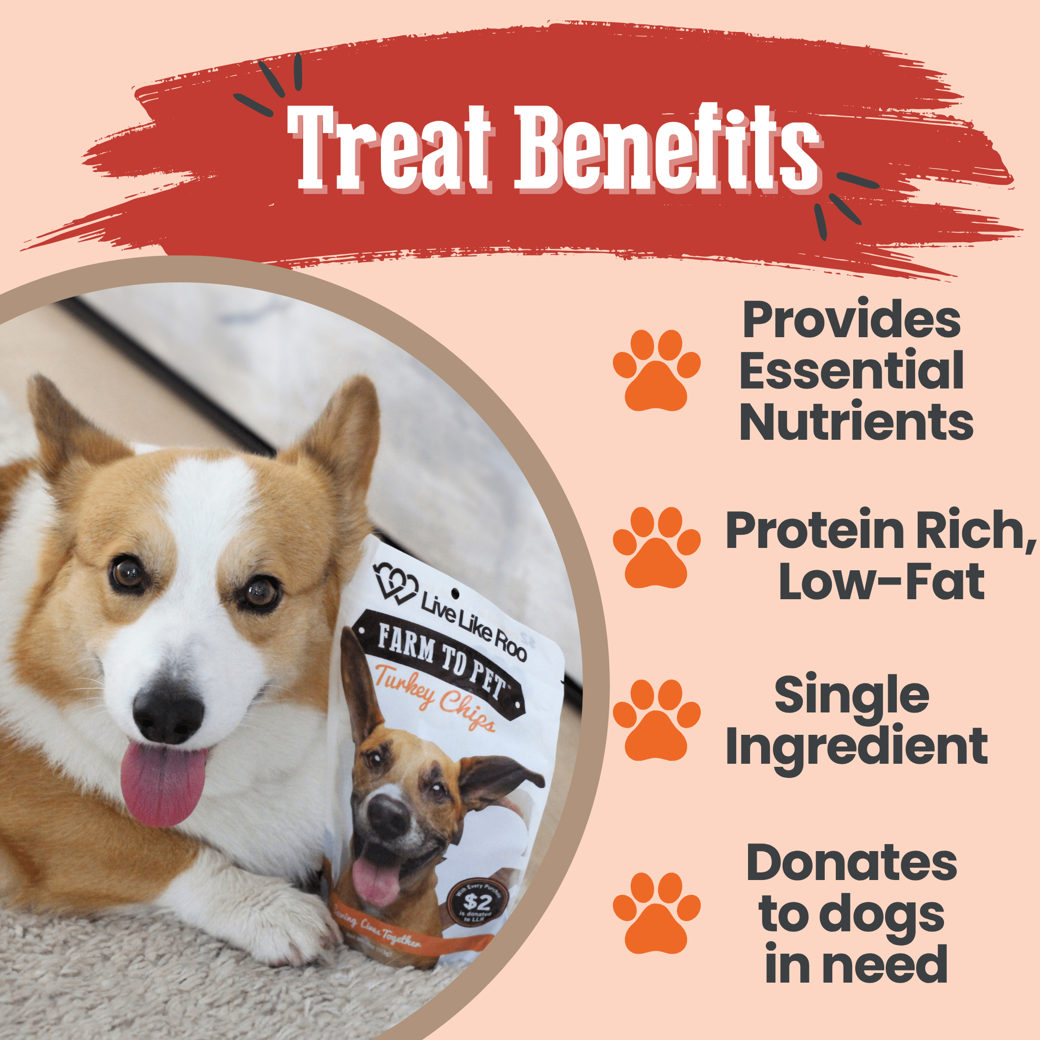 Live Like Roo Turkey Chips for Dogs | Dog Treats That Give Back - Boske.store