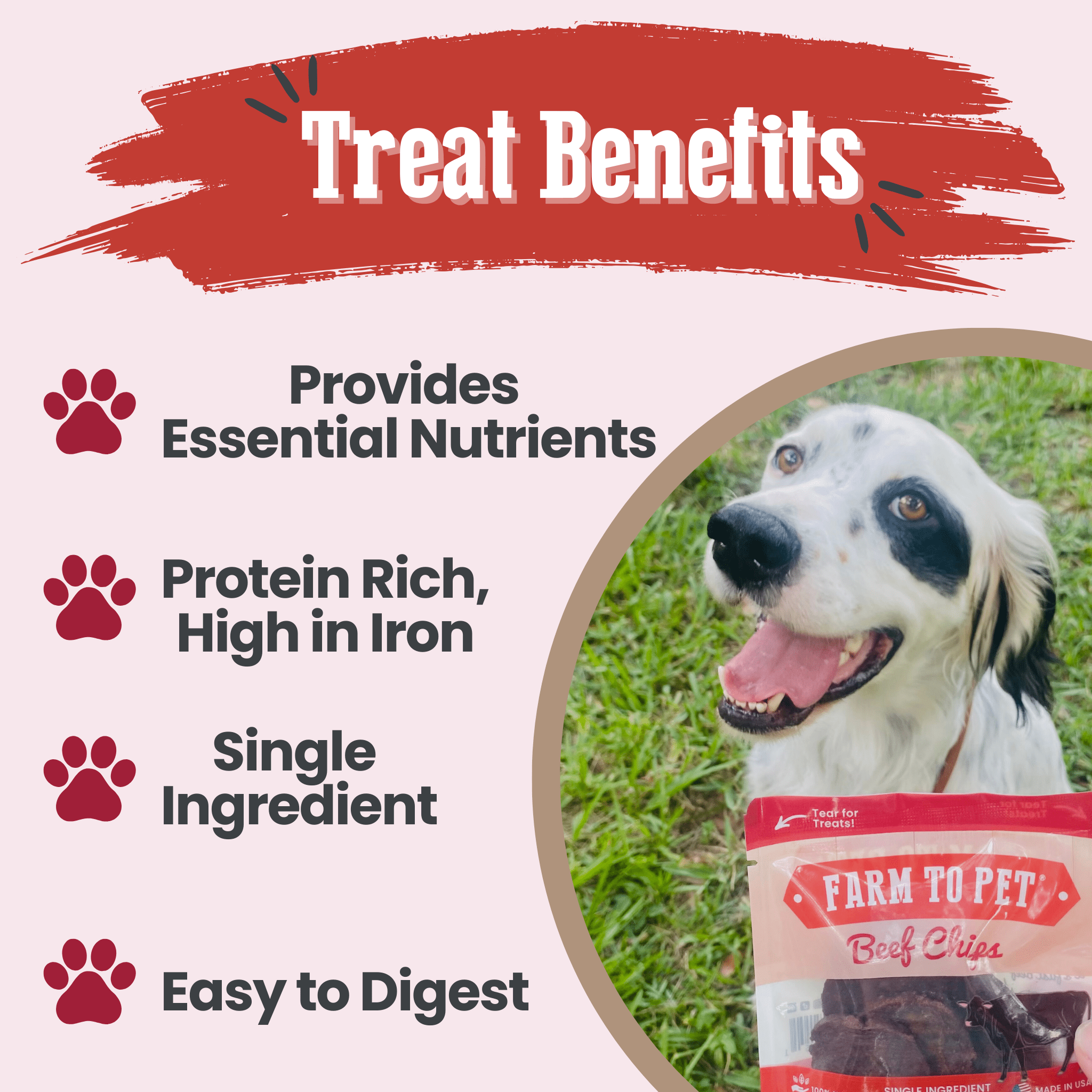 Beef Chips Snack Pack Bundles | Dog Treats for Training & Travel - Boske.store