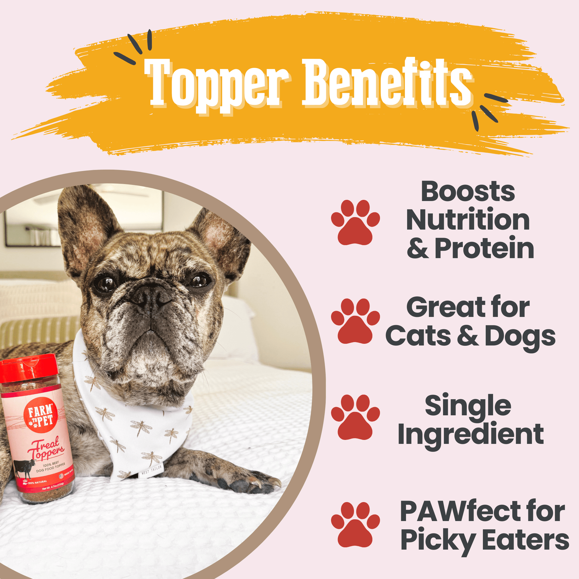 Treat Topper Beef Dog Food Topper | Powdered Meal Topper for Pets - Boske.store