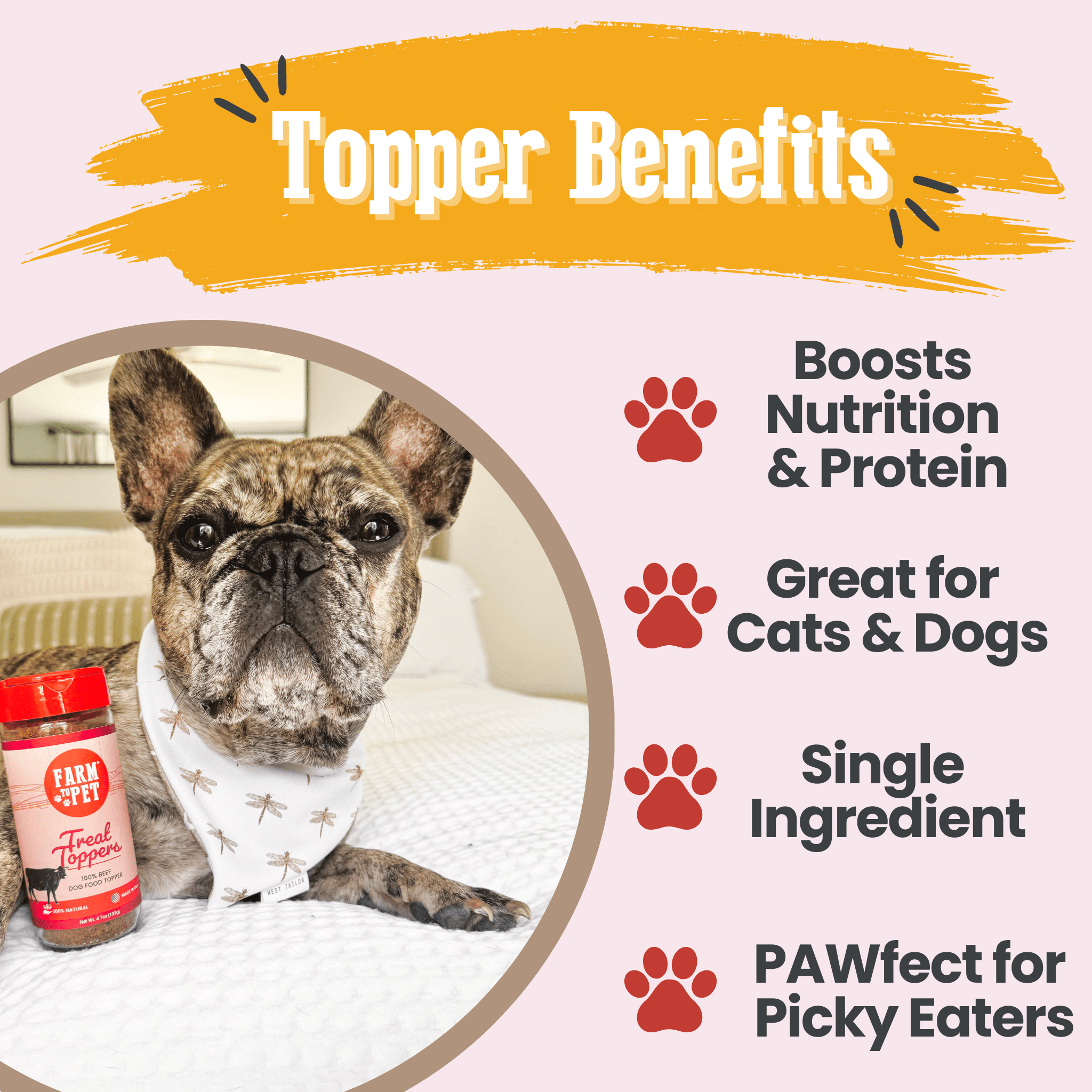 Treat Topper Beef Dog Food Topper | Powdered Meal Topper for Pets - Boske.store