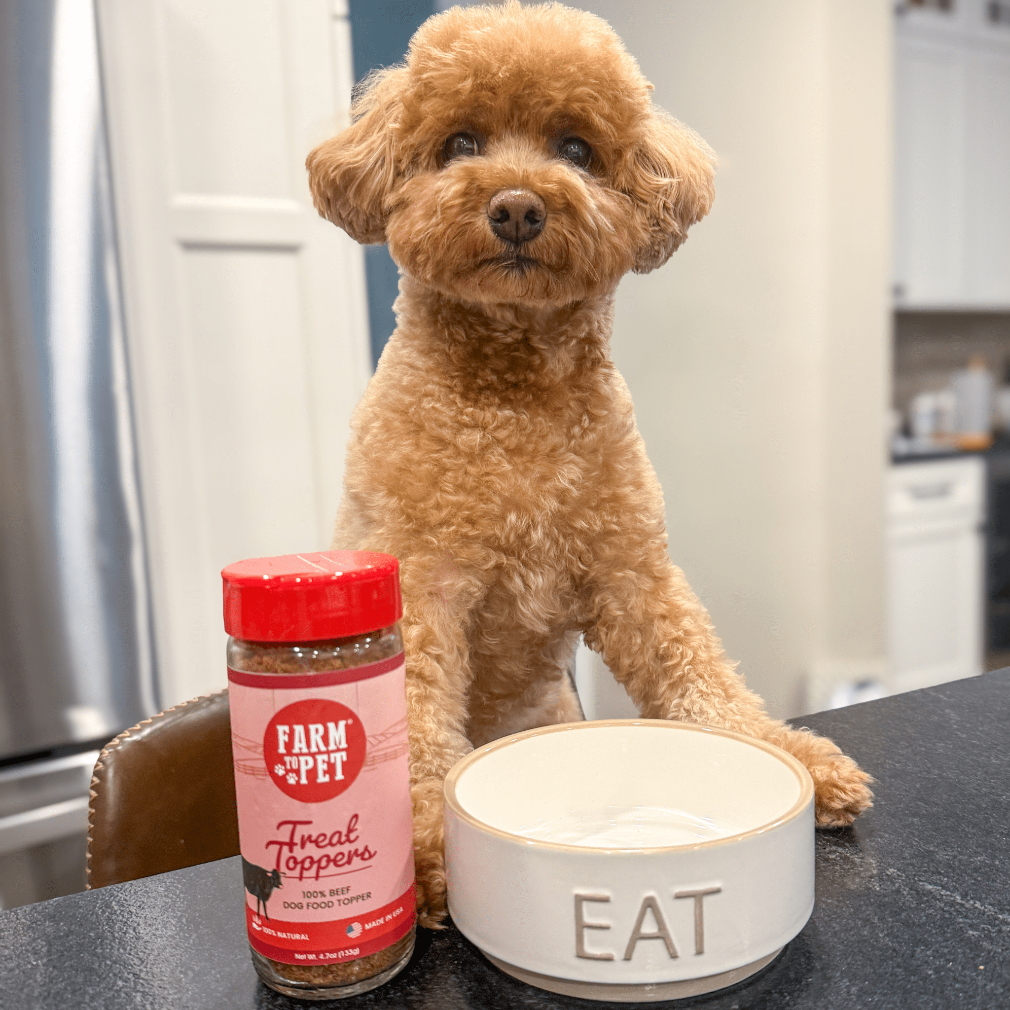 Treat Topper Beef Dog Food Topper | Powdered Meal Topper for Pets - Boske.store