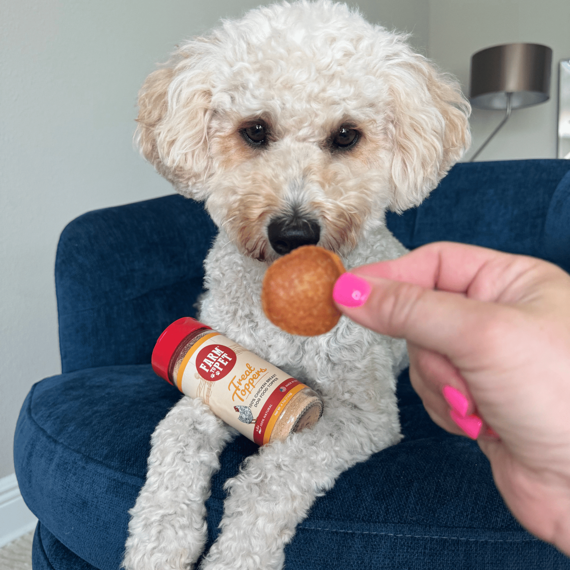 Treat Topper Chicken Dog Food Topper | Healthy Meal Supplement for Dogs - Boske.store