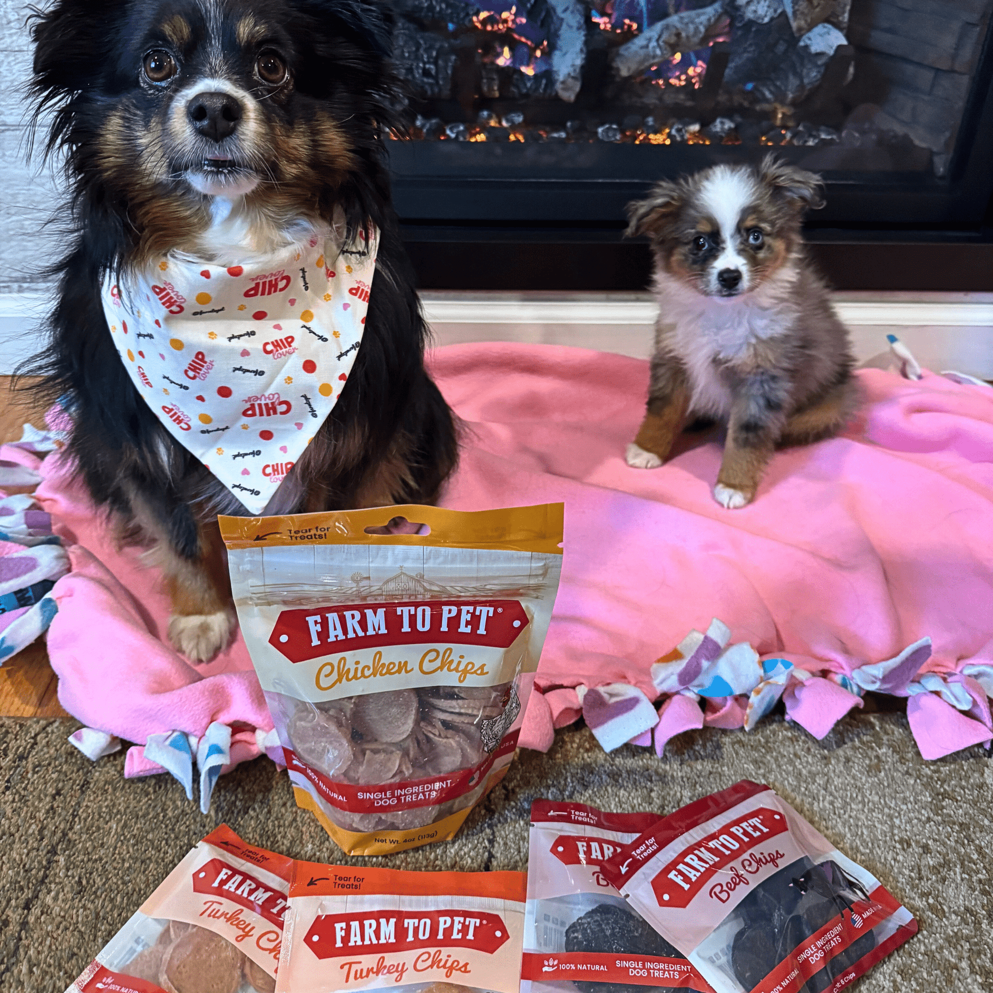 Puppy Packs 'n Snacks Dog Treat Starter Pack | Single - Ingredient Training Treats - Boske.store
