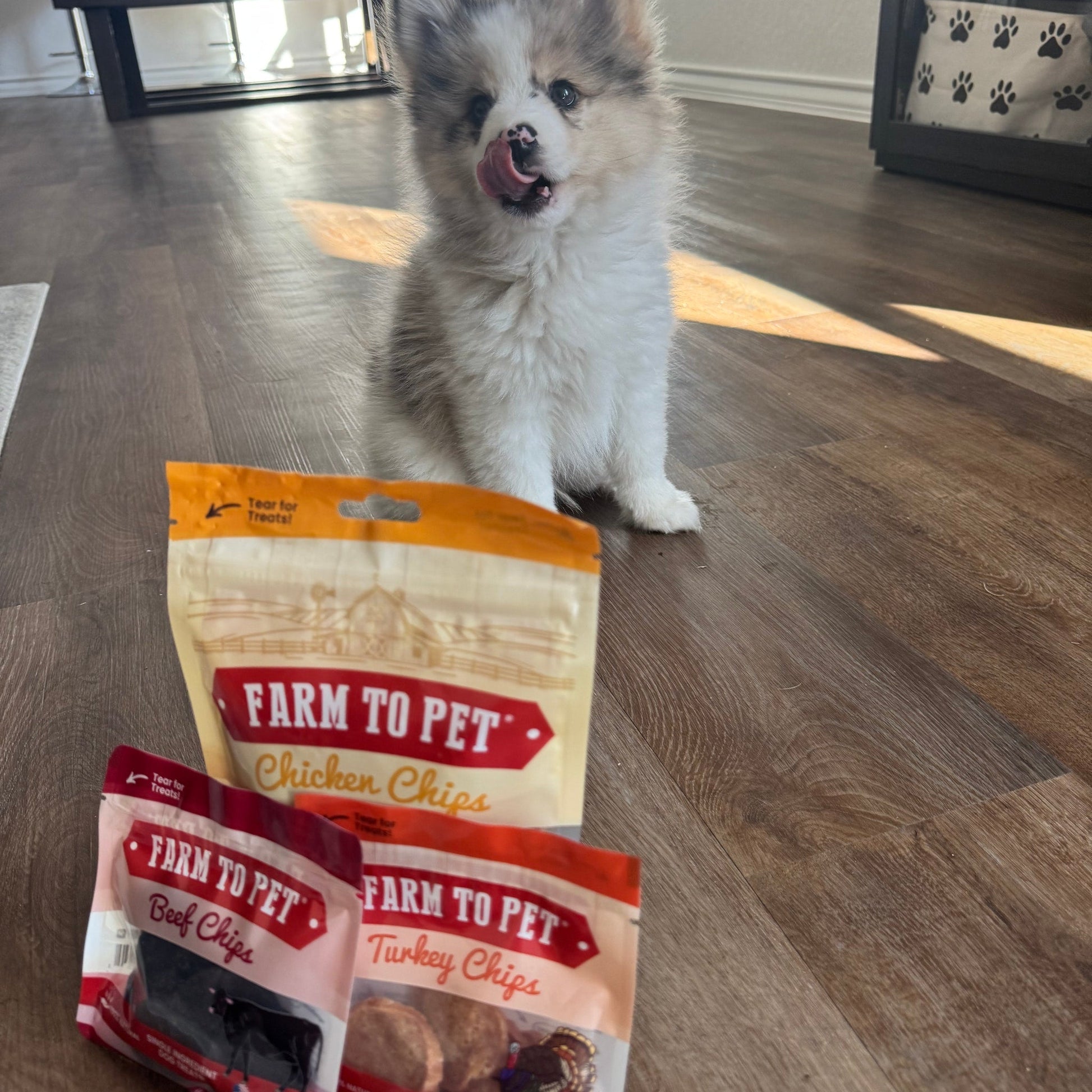 Puppy Packs 'n Snacks Dog Treat Starter Pack | Single - Ingredient Training Treats - Boske.store