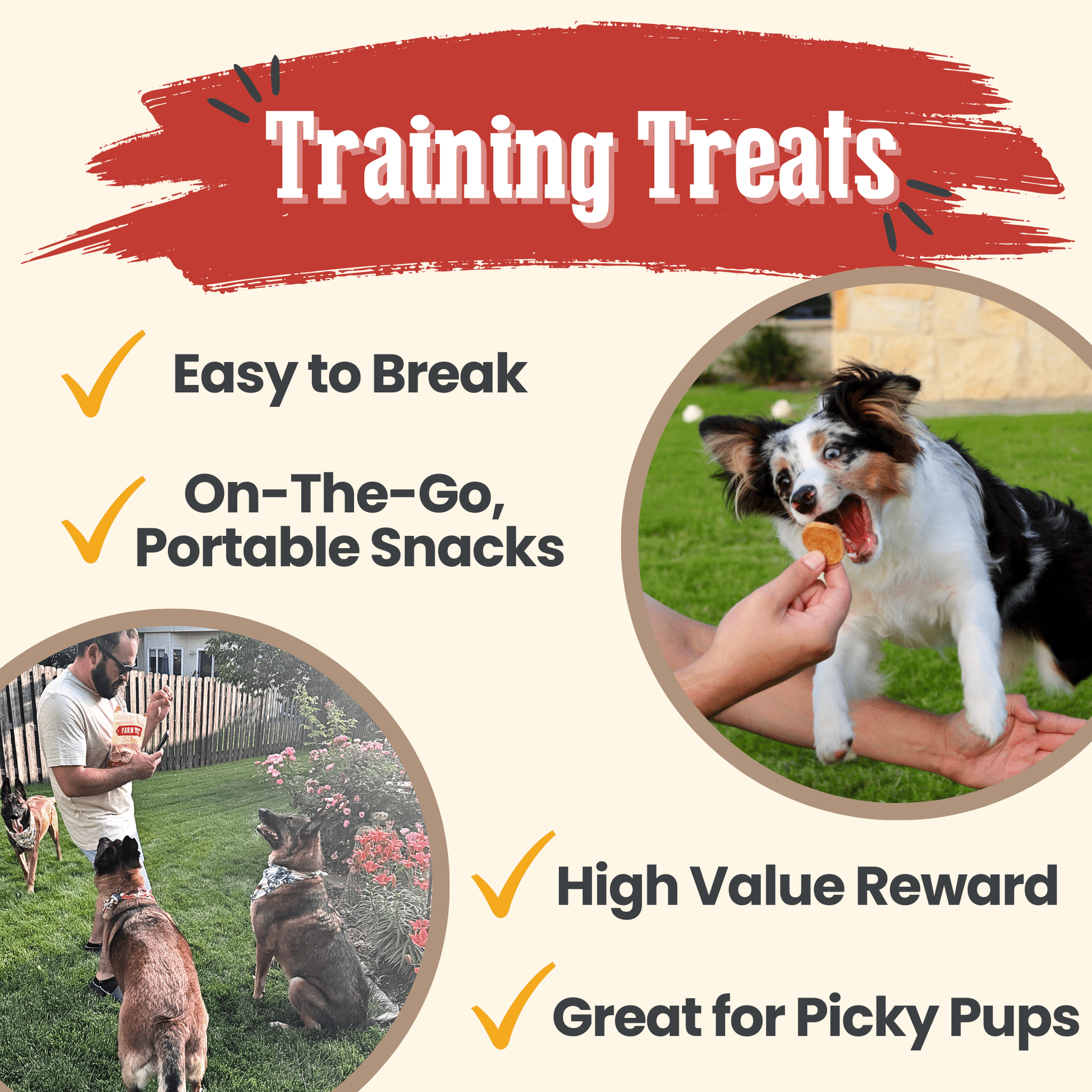 Chicken Chips for Dogs | All - Natural Single - Ingredient Dog Treats - Boske.store