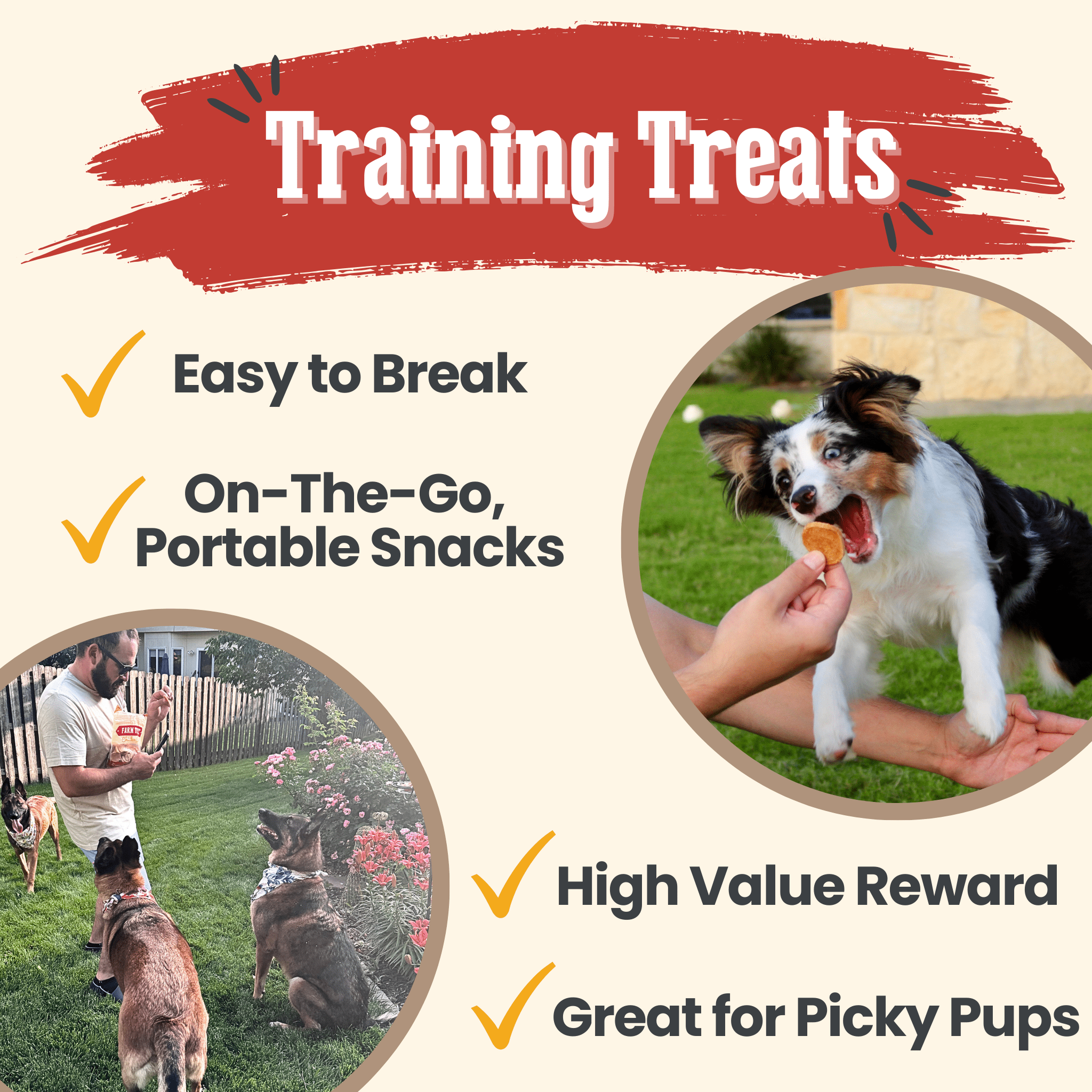 Chicken Chips for Dogs | All - Natural Single - Ingredient Dog Treats - Boske.store