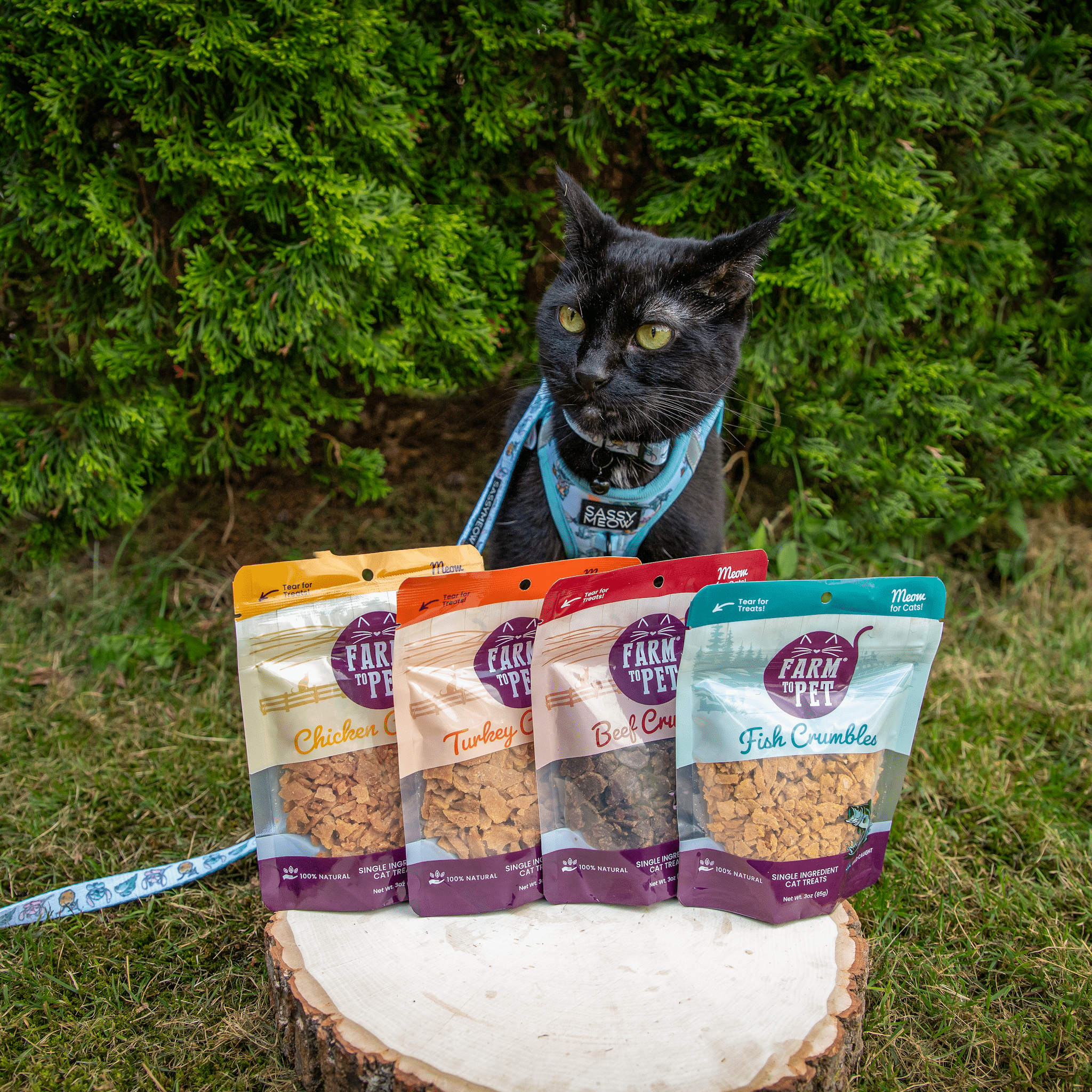 Fish Crumbles for Cats | All - Natural Fish Cat Treats - Boske.store