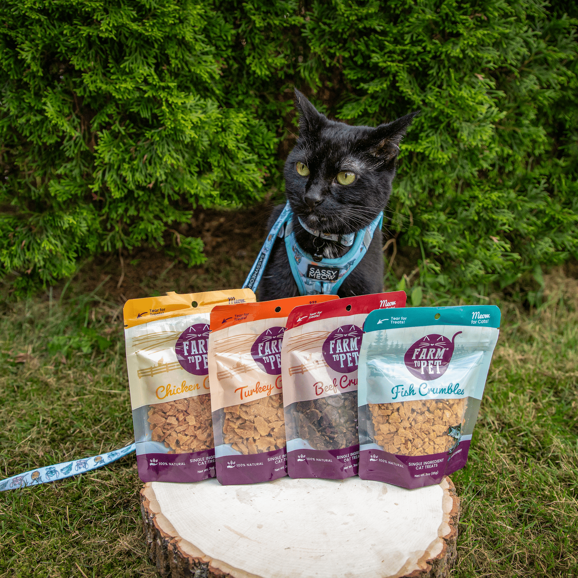 Beef Crumbles Cat Treats | High Protein Treats for Cats - Boske.store
