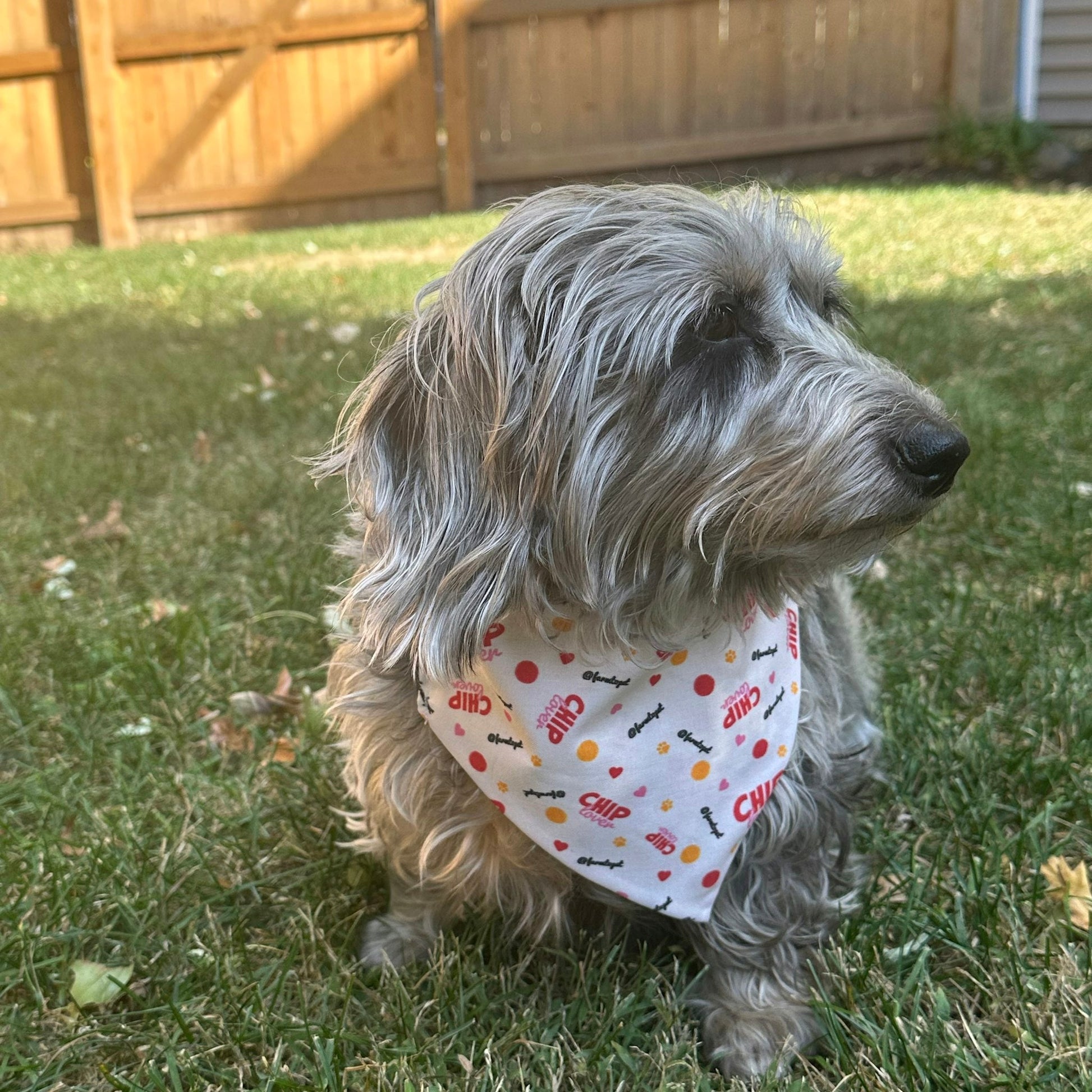 Tie - on Dog Bandana | Adjustable String - tie Bandana for Dogs and Cats - Boske.store