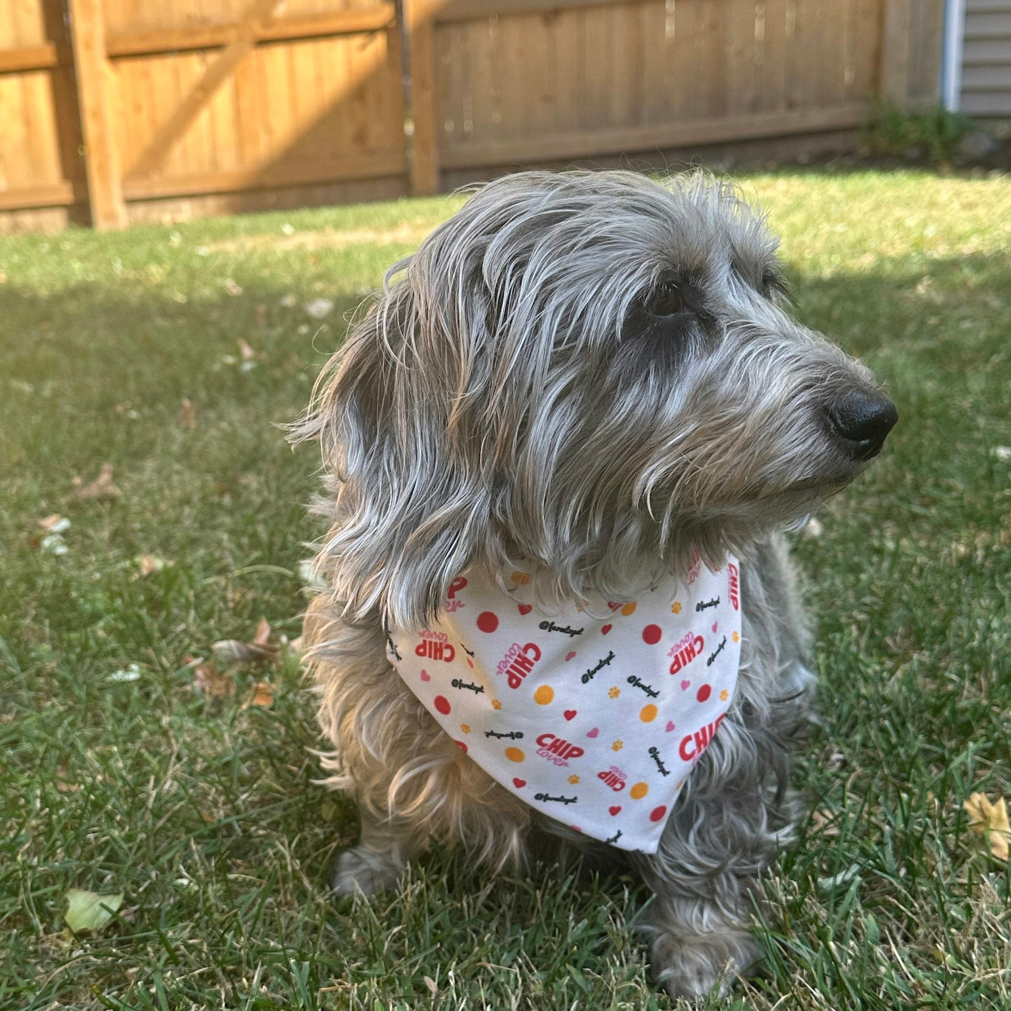 Tie - on Dog Bandana | Adjustable String - tie Bandana for Dogs and Cats - Boske.store