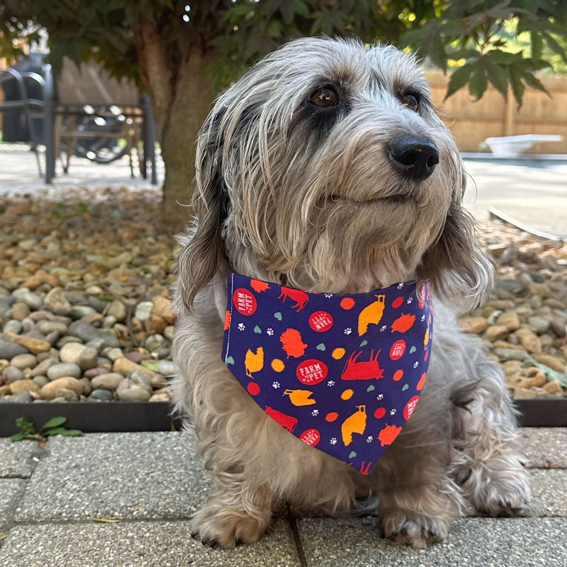 Tie - on Dog Bandana | Adjustable String - tie Bandana for Dogs and Cats - Boske.store