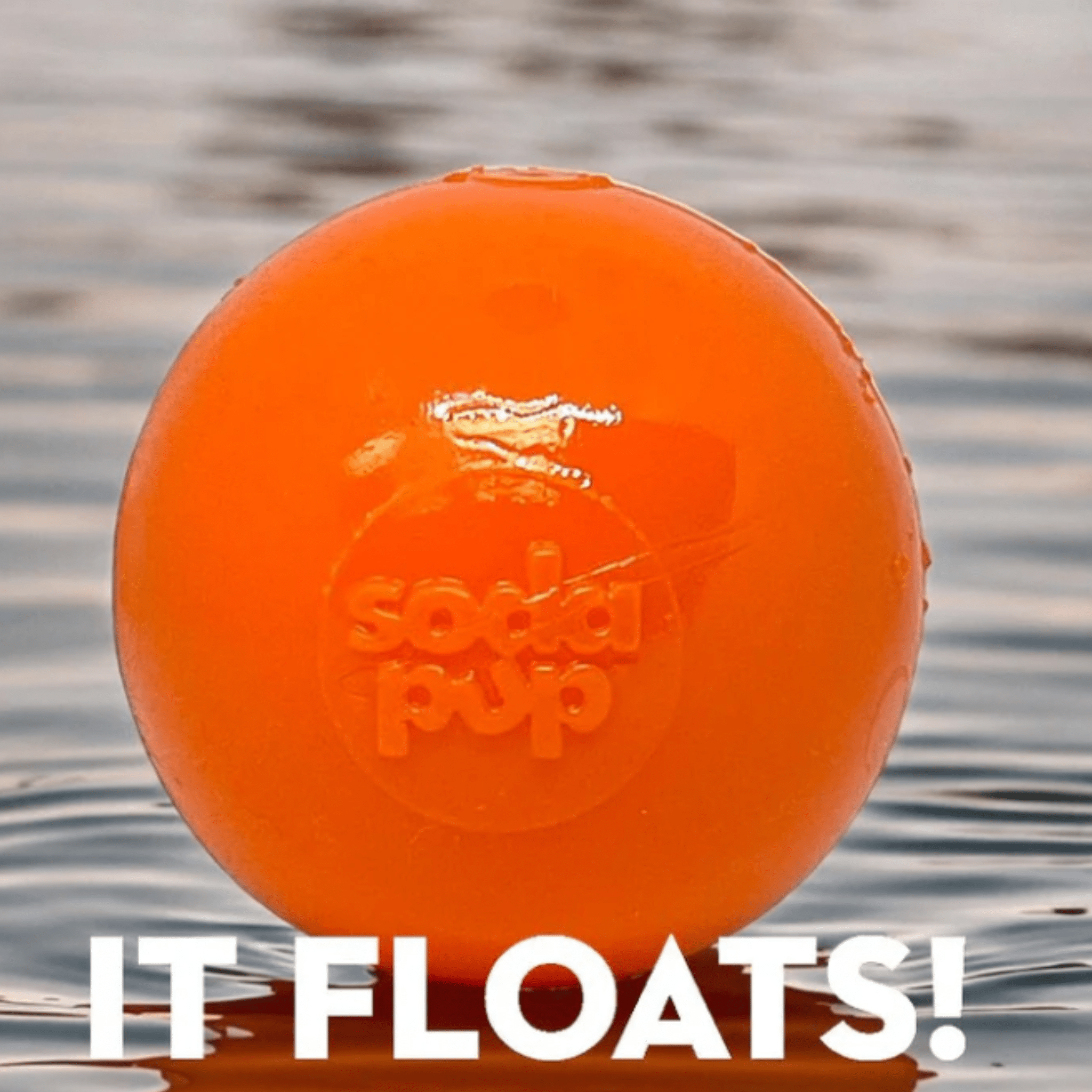 Dog Fetch Balls - Boske.store