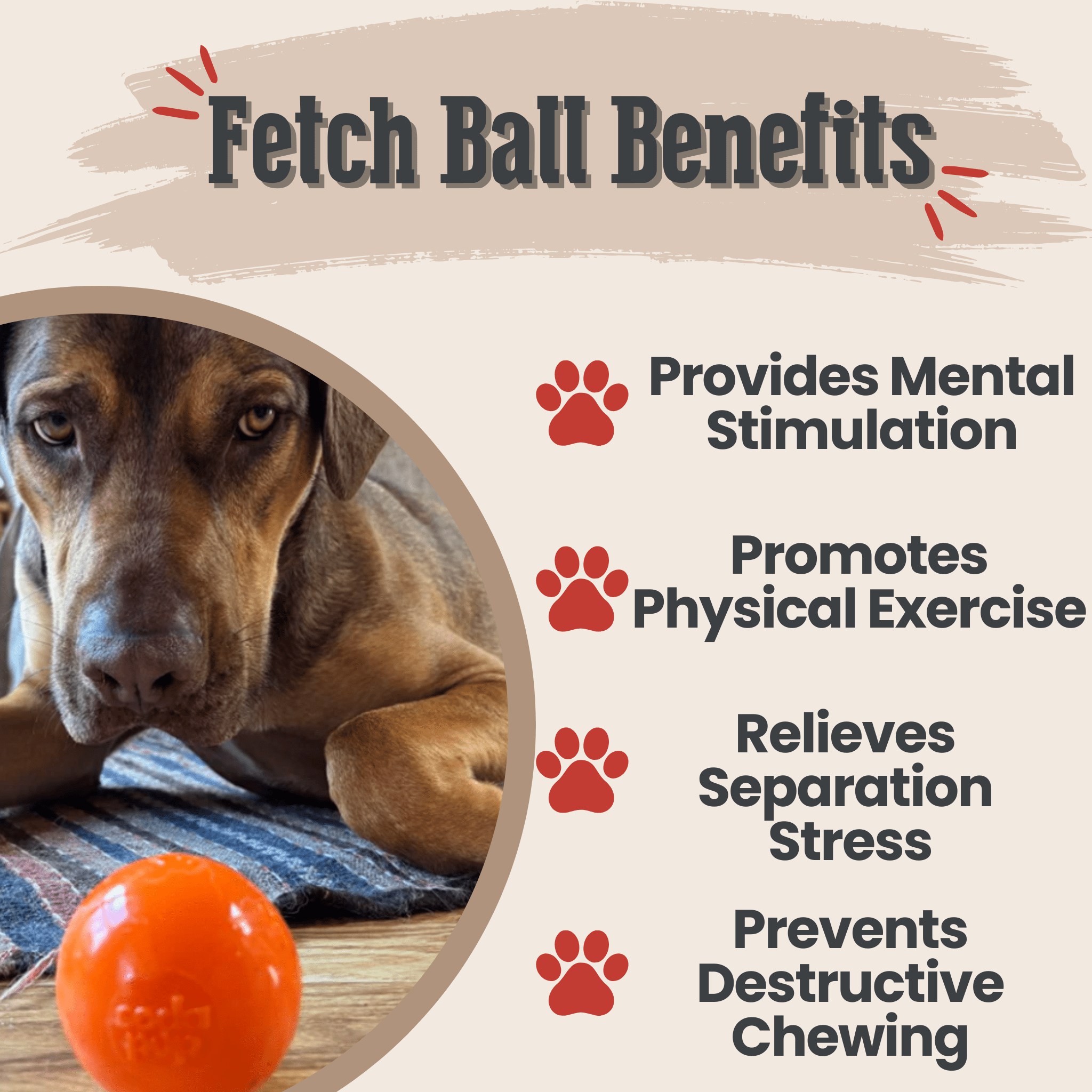 Dog Fetch Balls - Boske.store
