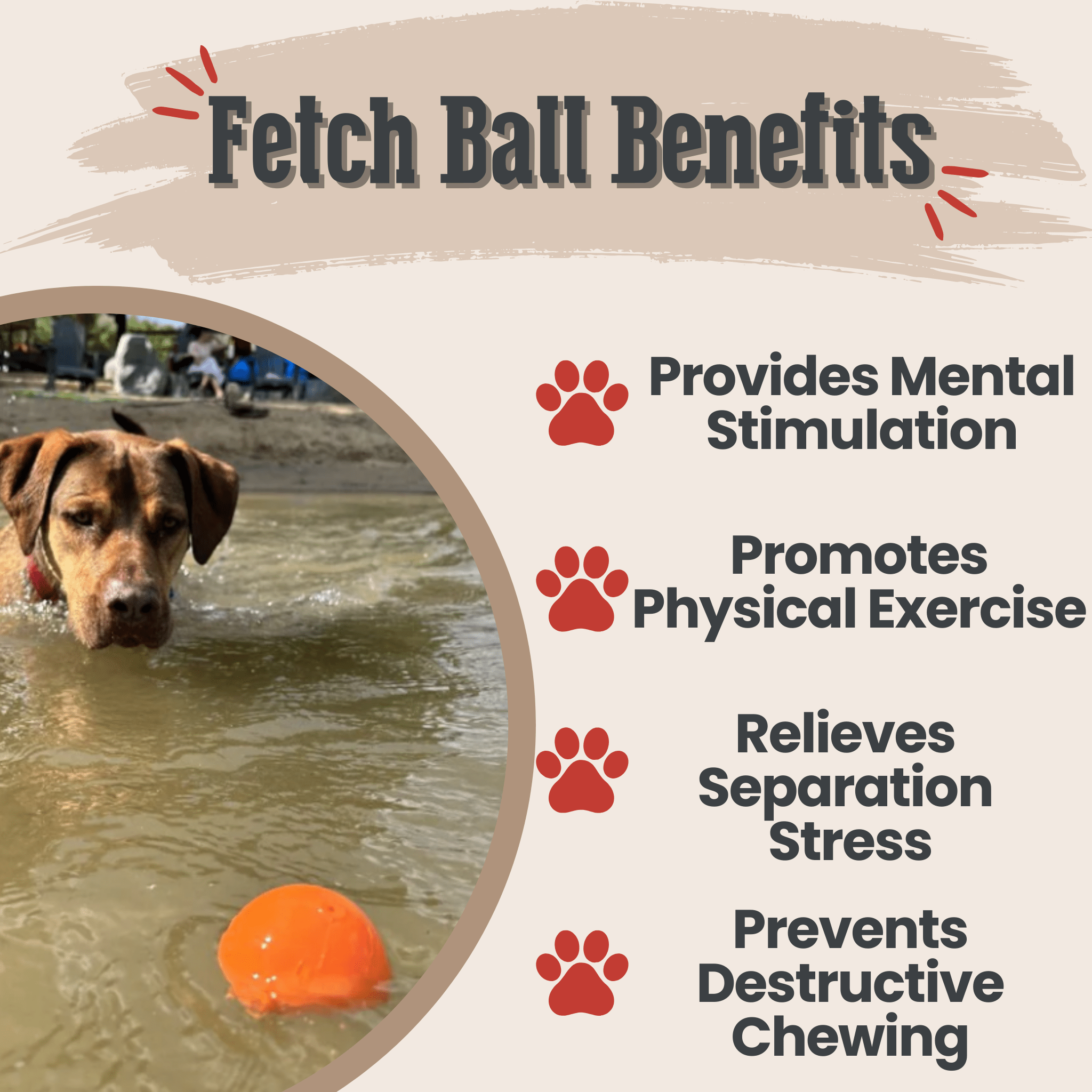 Dog Fetch Balls - Boske.store