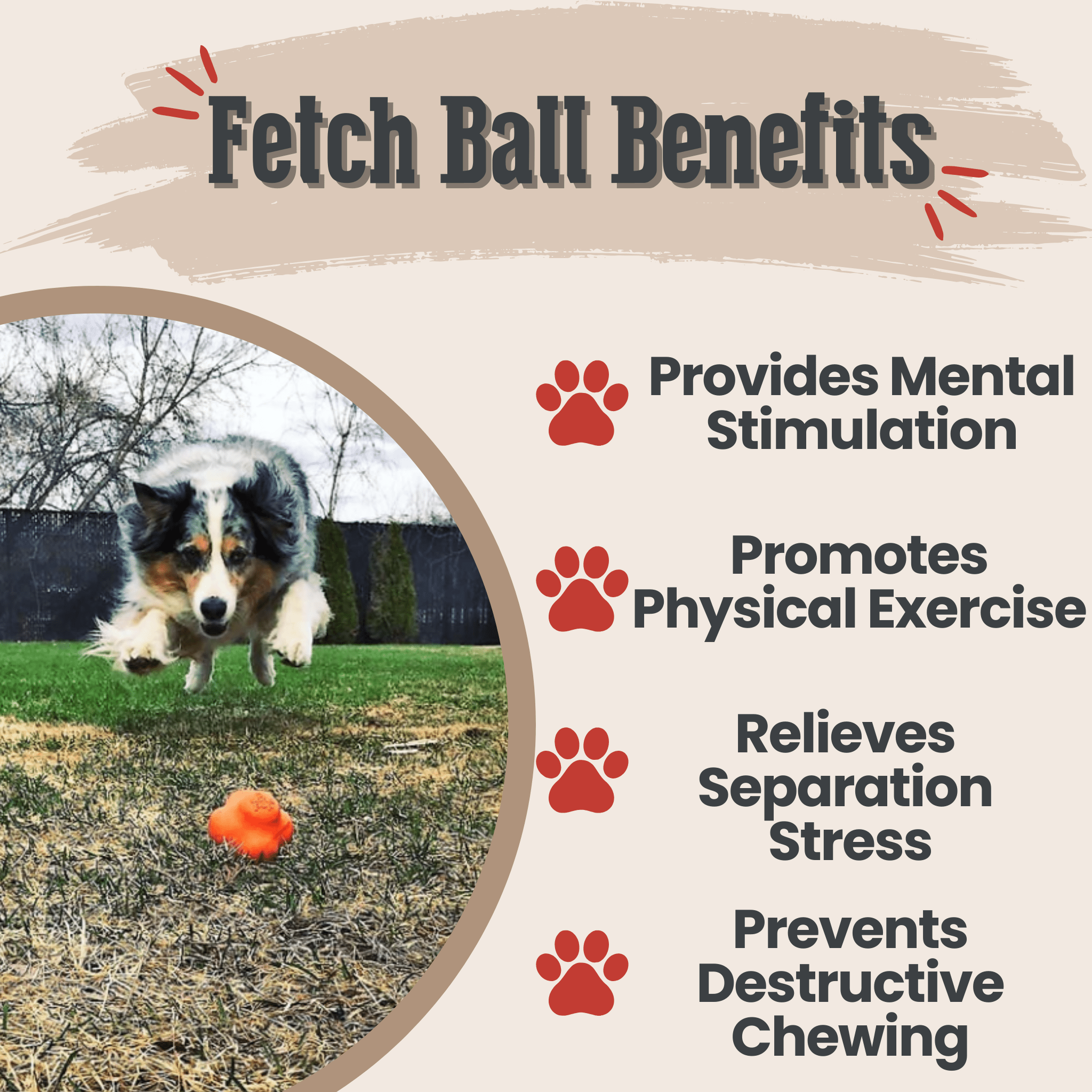 Dog Fetch Balls - Boske.store