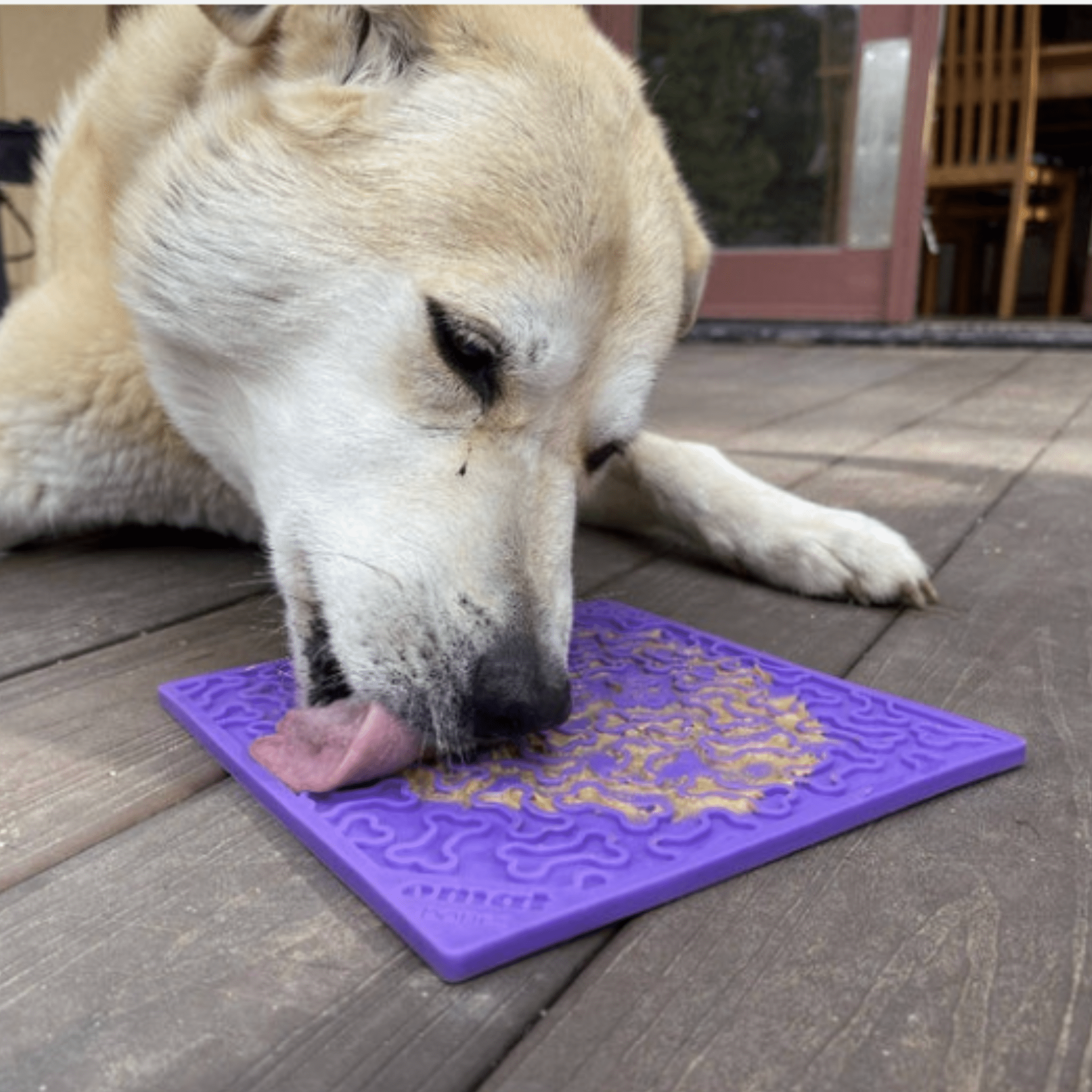 Dog Lick Mats - Boske.store