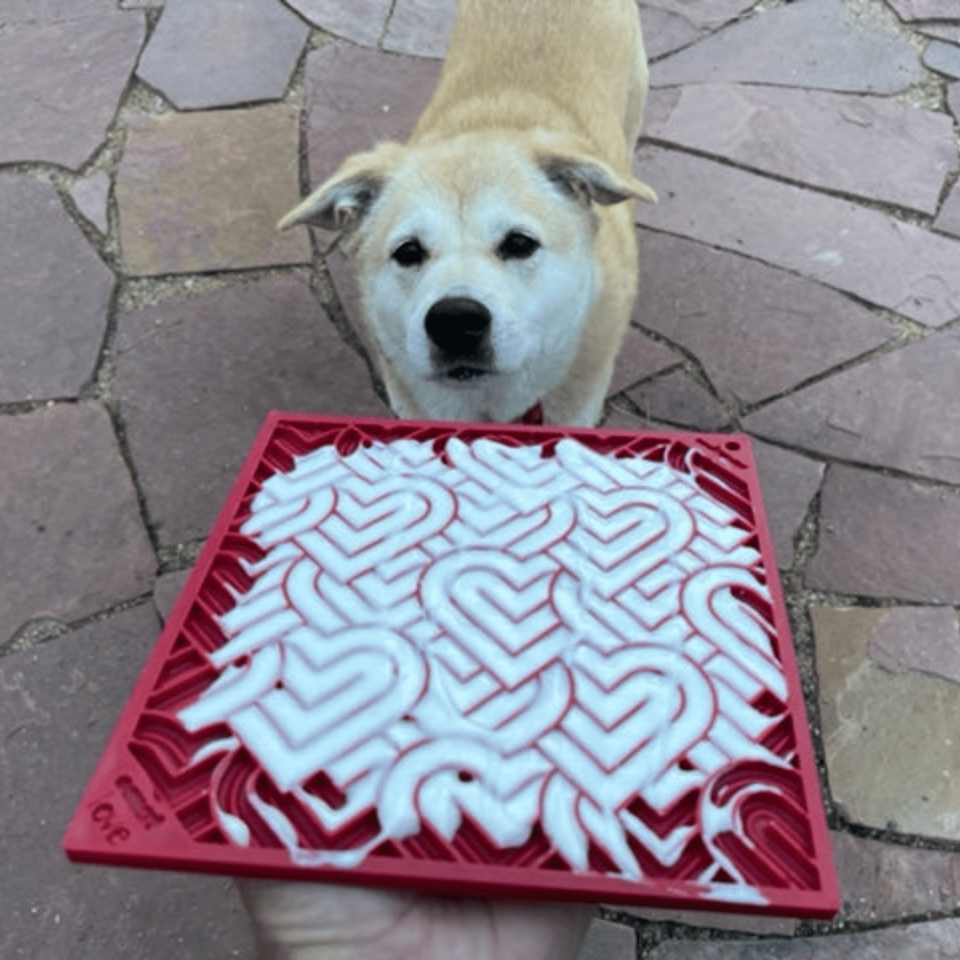 Dog Lick Mats - Boske.store