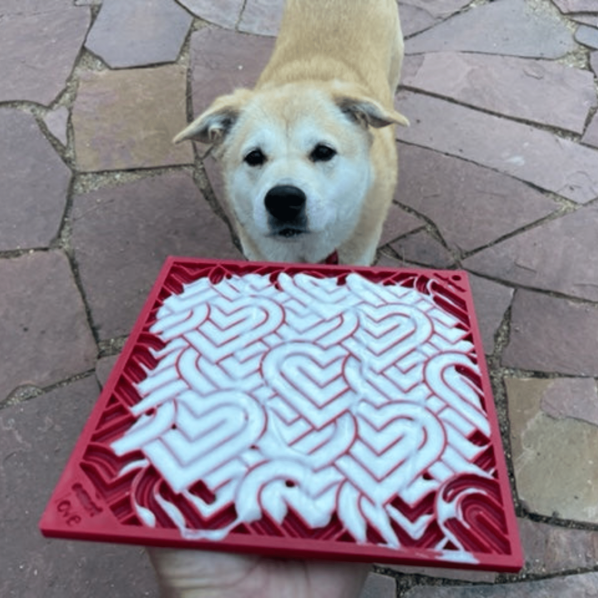 Dog Lick Mats - Boske.store