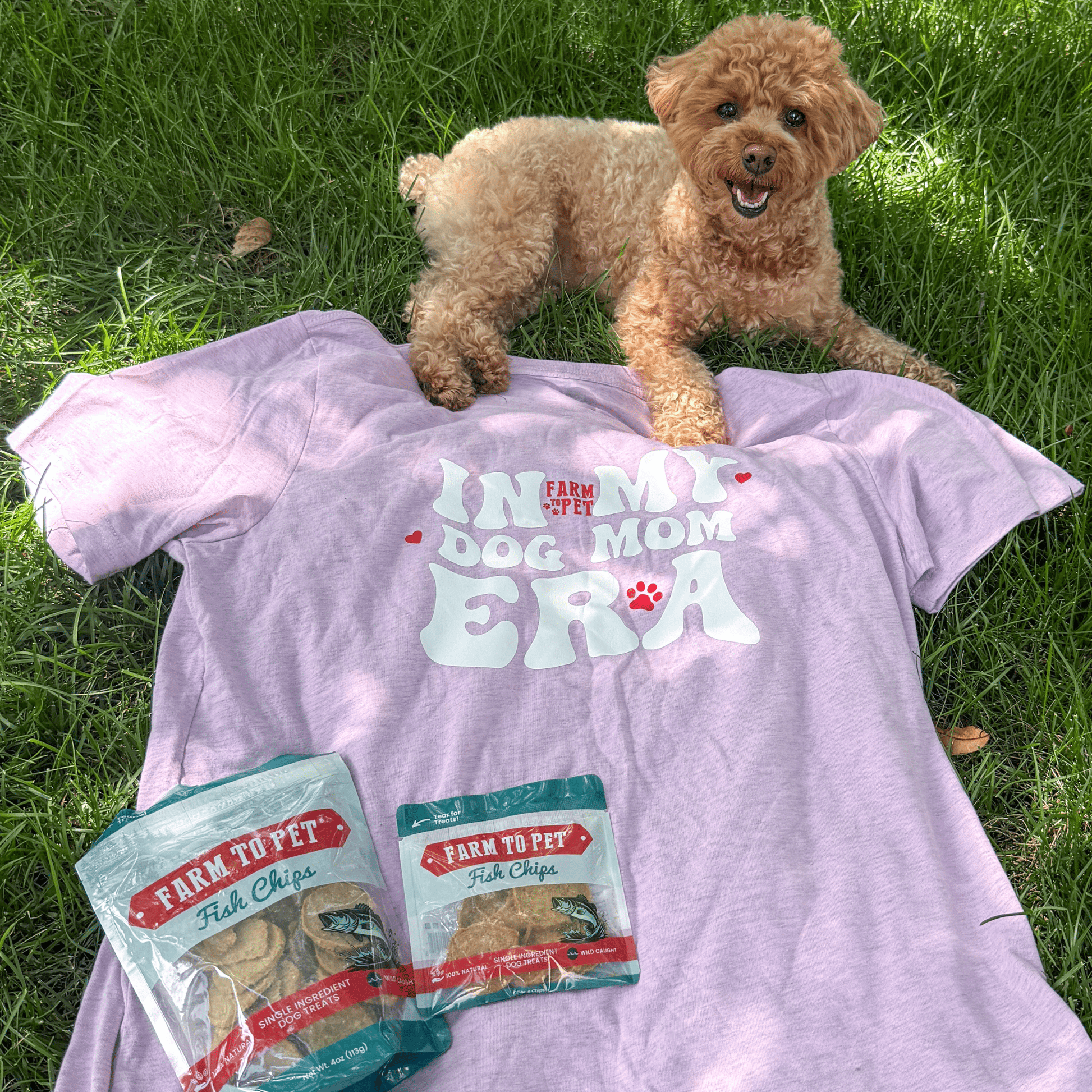 "Dog Mom Era" T-shirt | Paw - fect Gift for Dog Moms - Boske.store