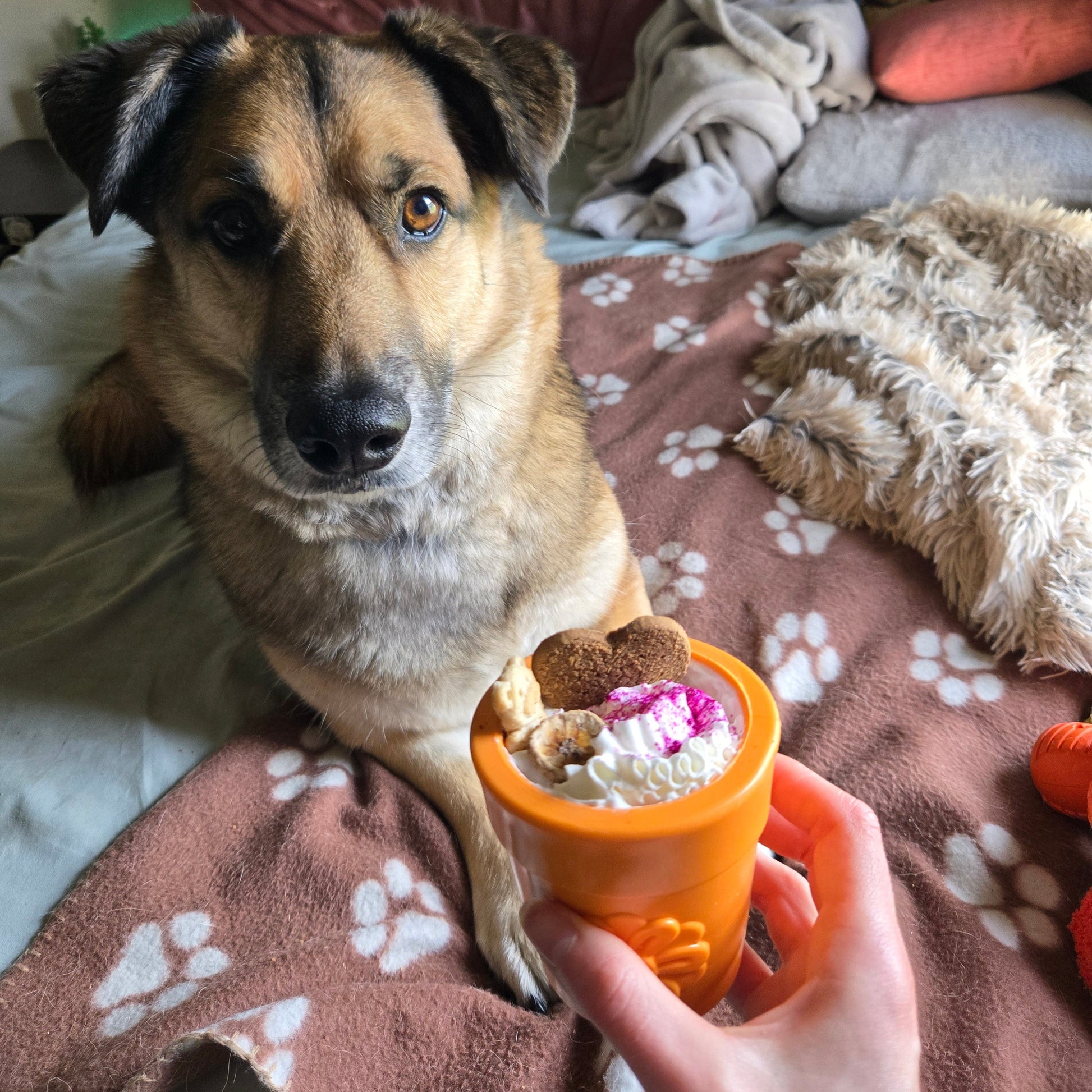 Dog Treat Dispensers - Boske.store