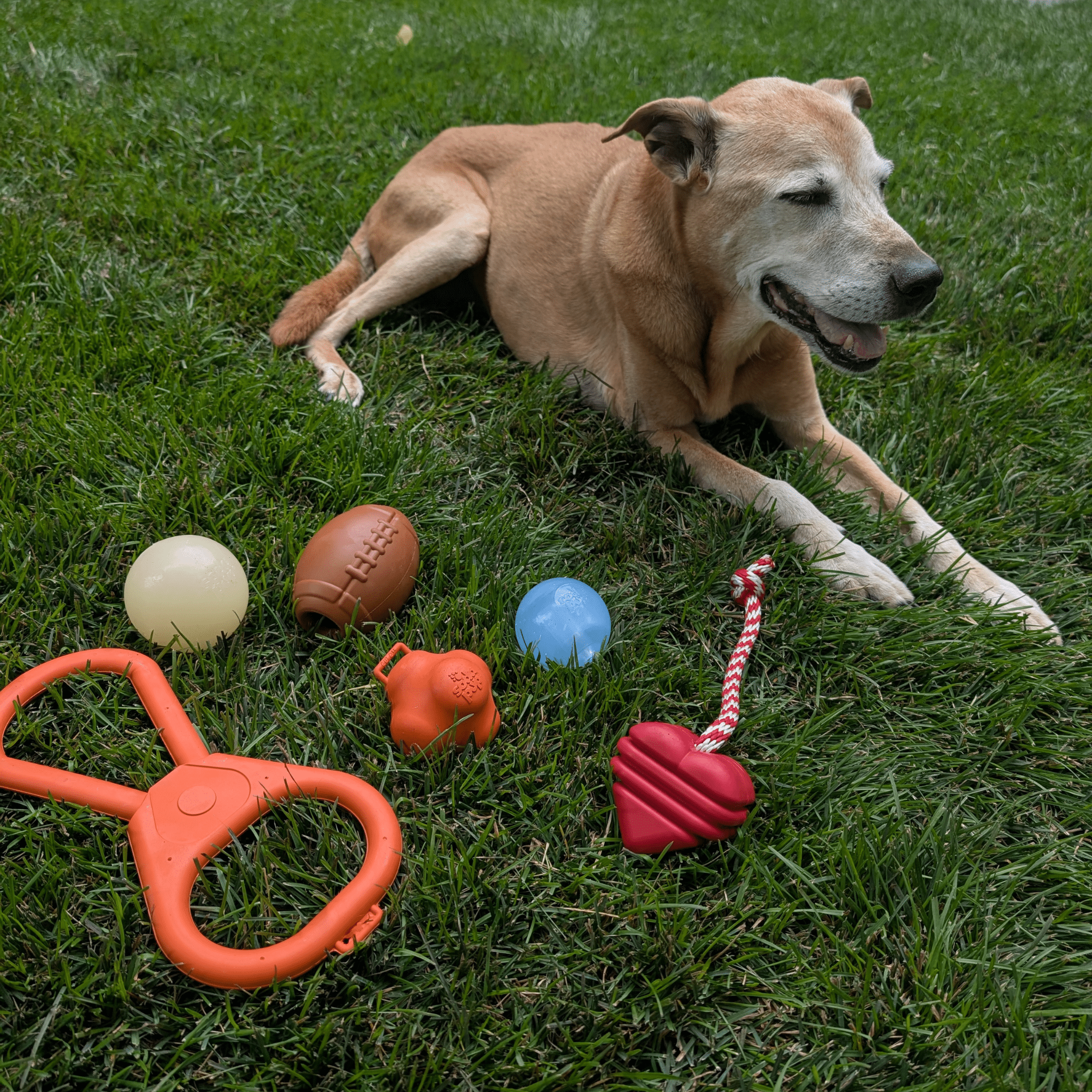 Dog Fetch Balls - Boske.store