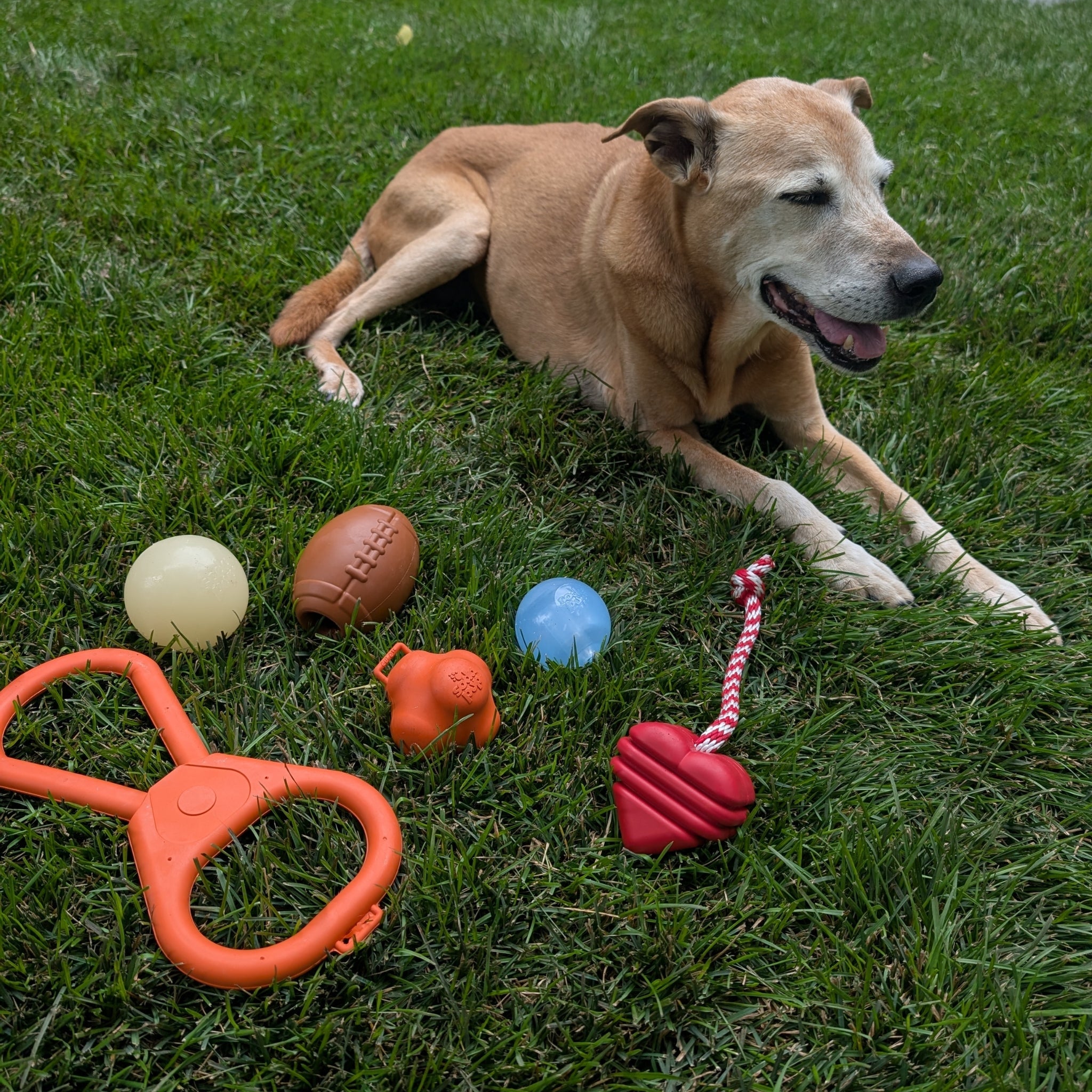 Tug Toys - Boske.store