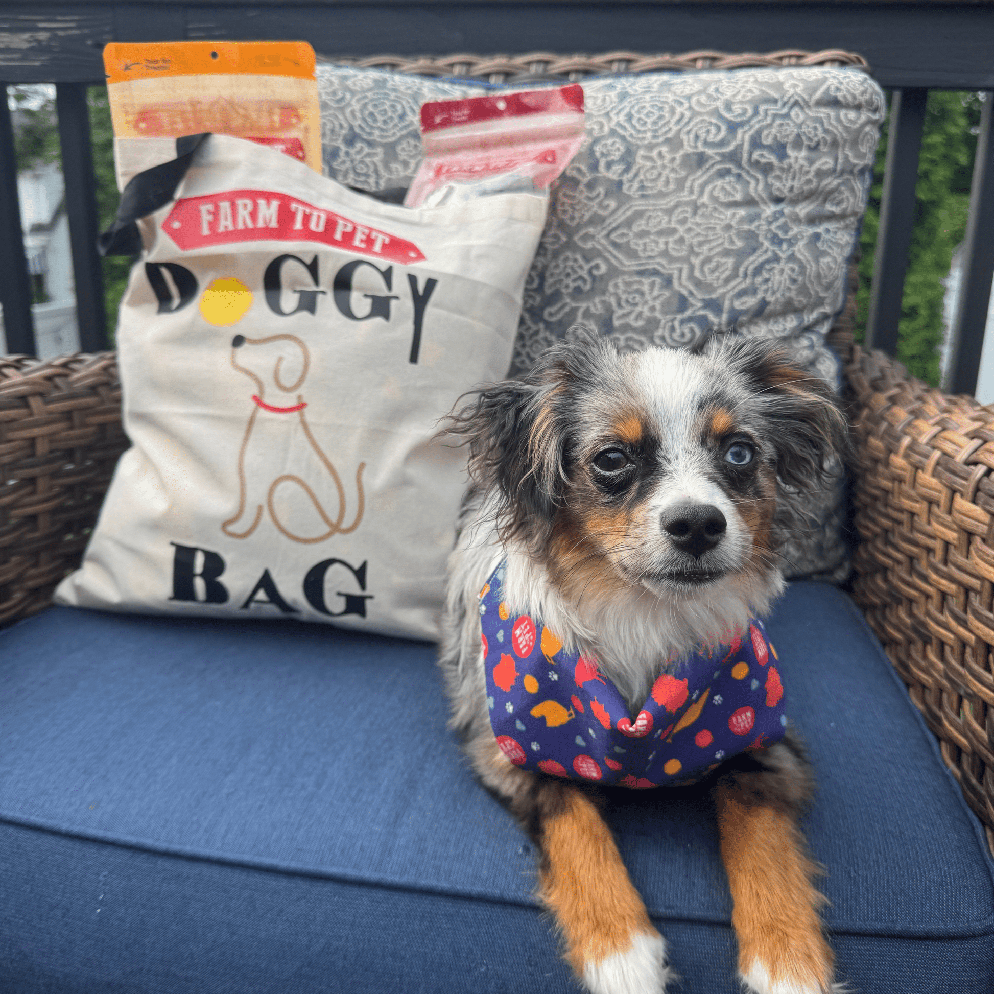 Farm To Pet Tote Bag | Paw - some Gift for Animal Lovers - Boske.store