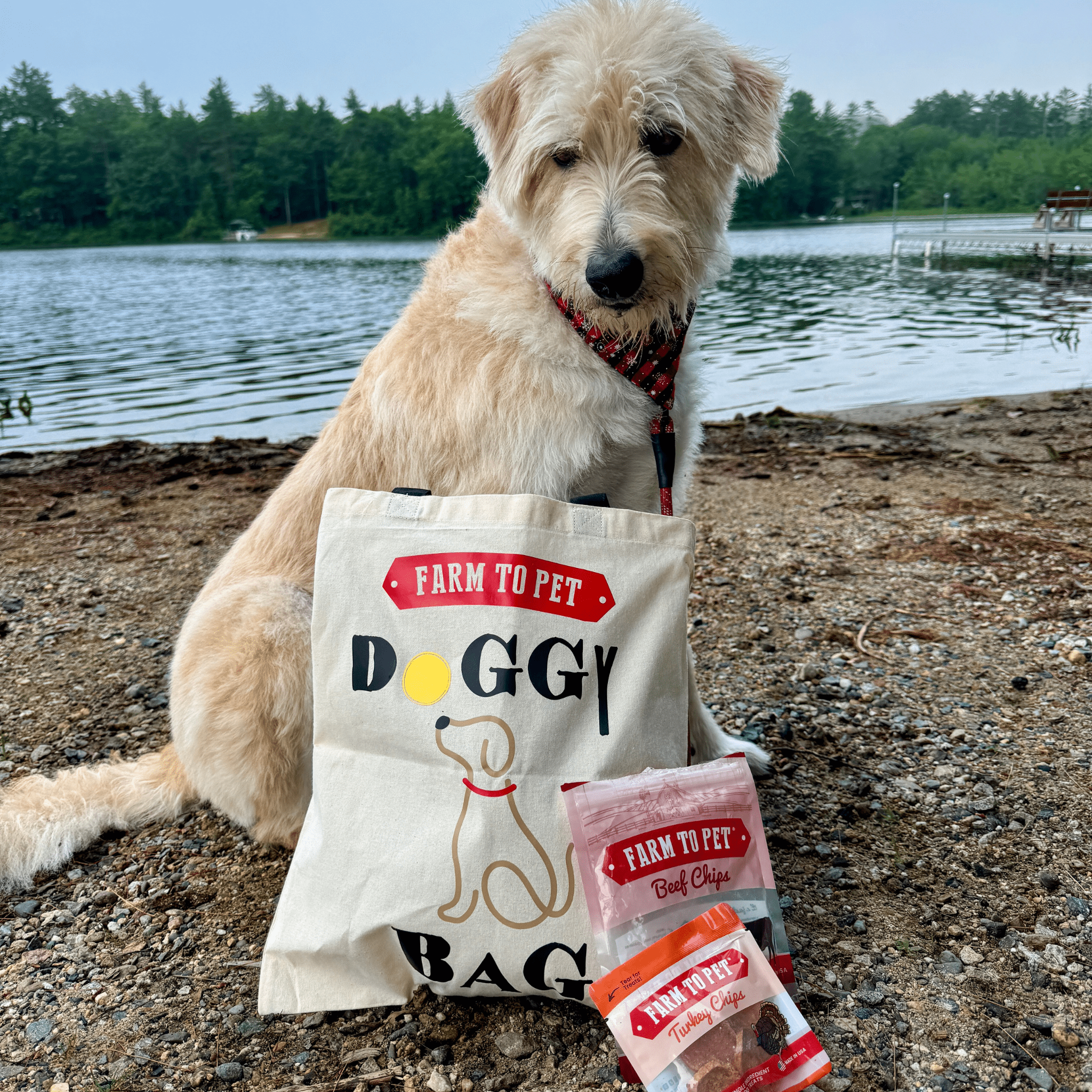 Farm To Pet Tote Bag | Paw - some Gift for Animal Lovers - Boske.store