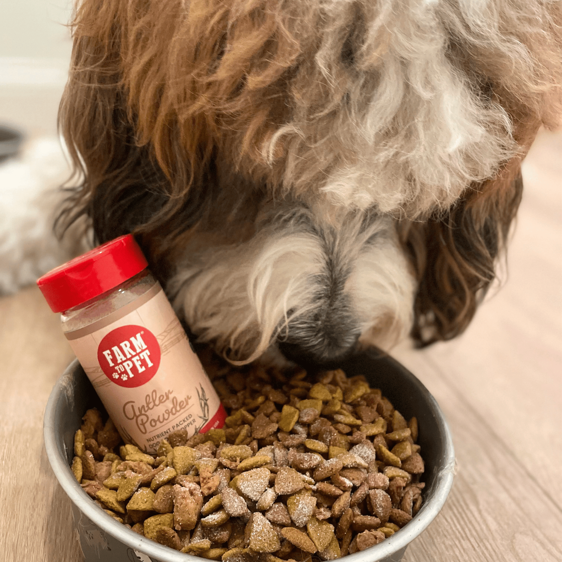 Treat Topper Antler Powder Dog Food Topper | Nutritional Supplement for Dogs and Cats - Boske.store
